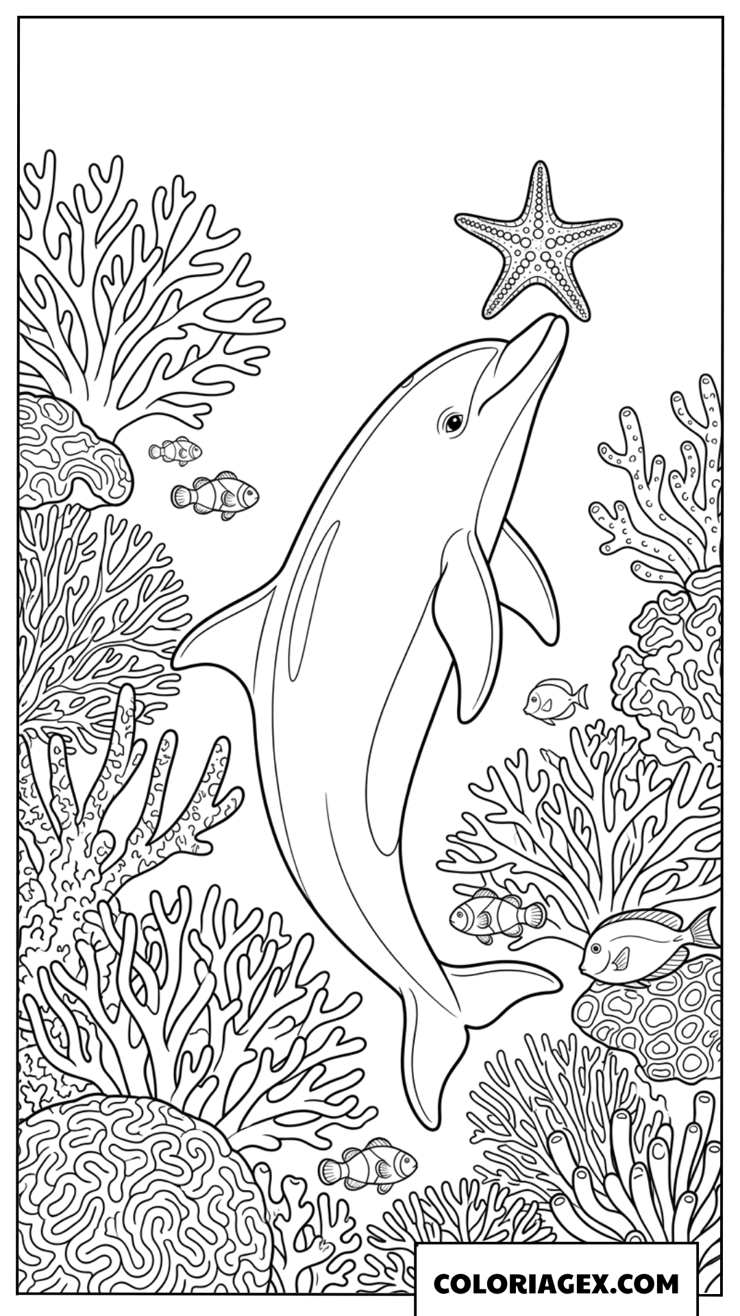 Coloriage d'un dauphin joueur faisant tenir une etoile de mer