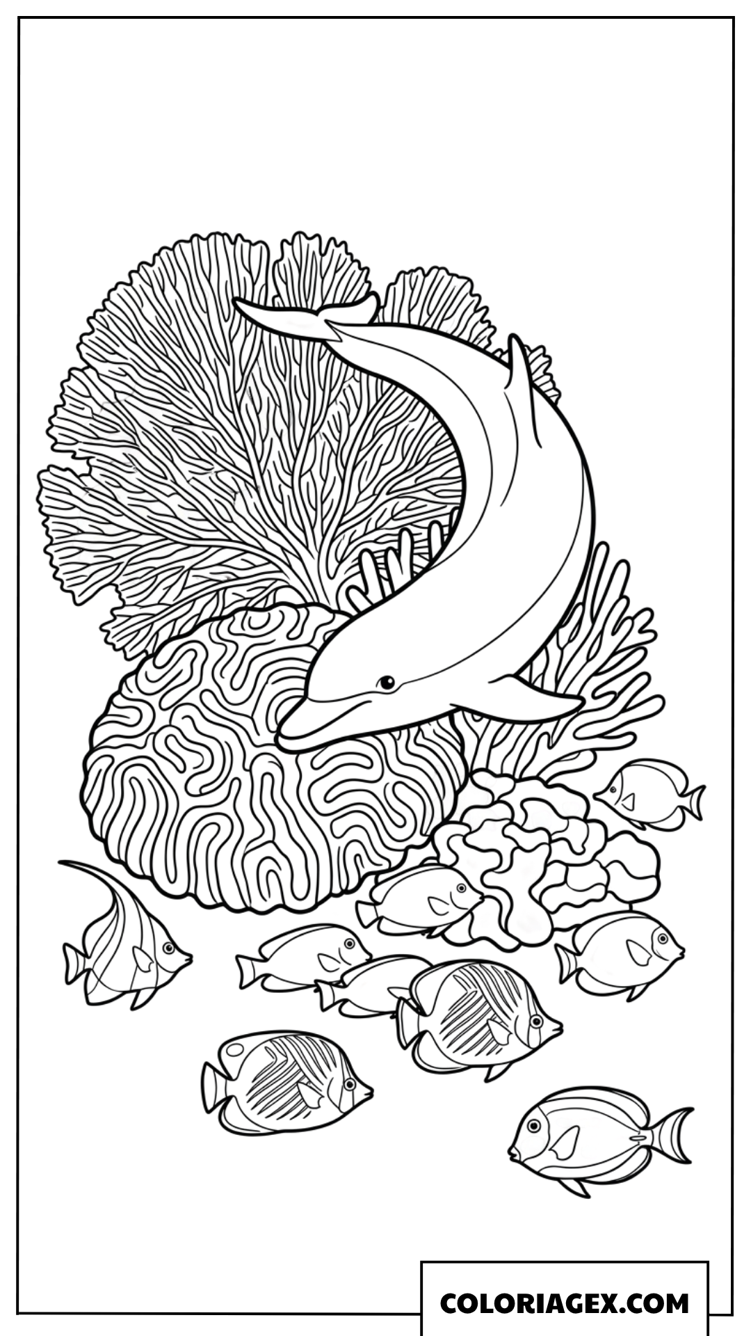 Coloriage d'un dauphin nageant parmi de superbes coraux