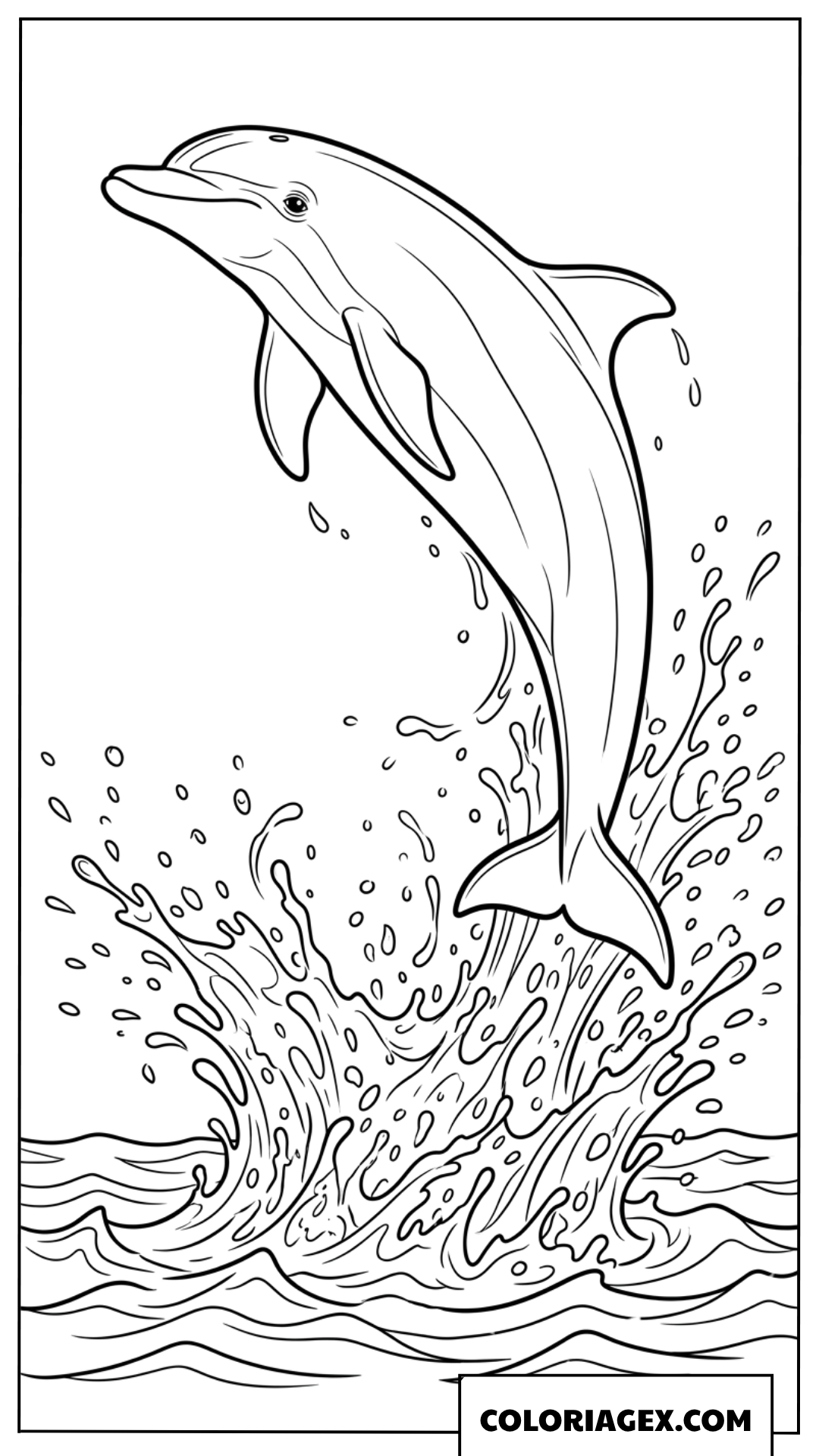 Coloriage d'un dauphin sautant hors de l'eau