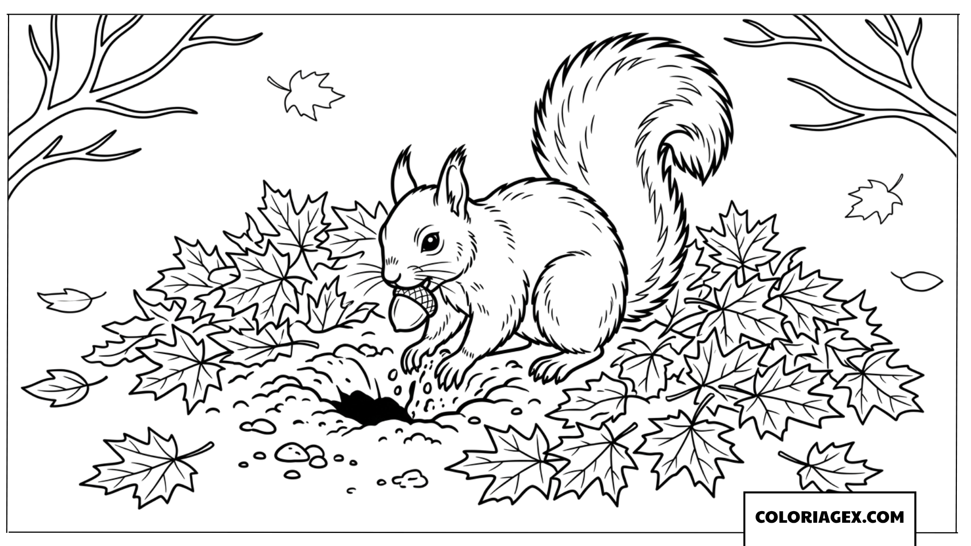 Coloriage ecureuil creusant pour cacher un gland