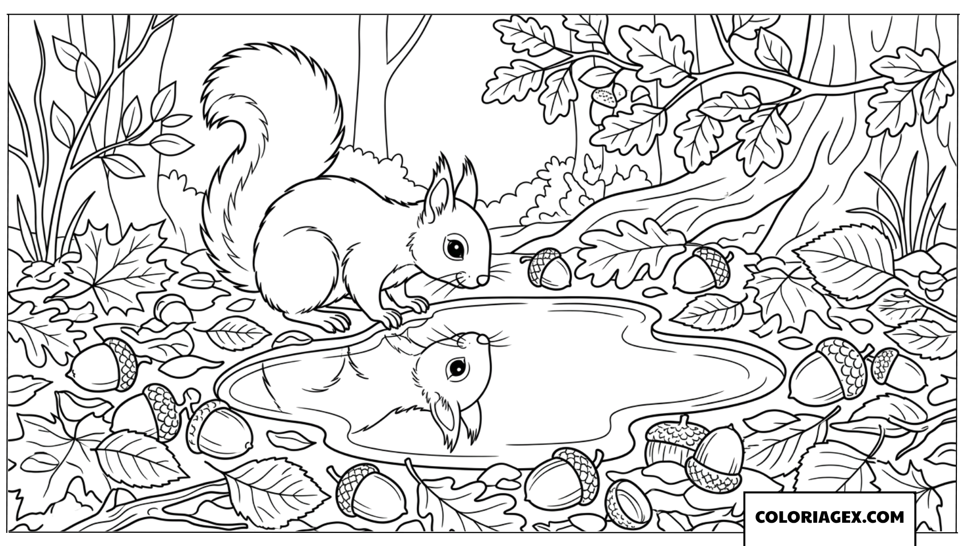 Coloriage ecureuil regardant son reflet dans l eau