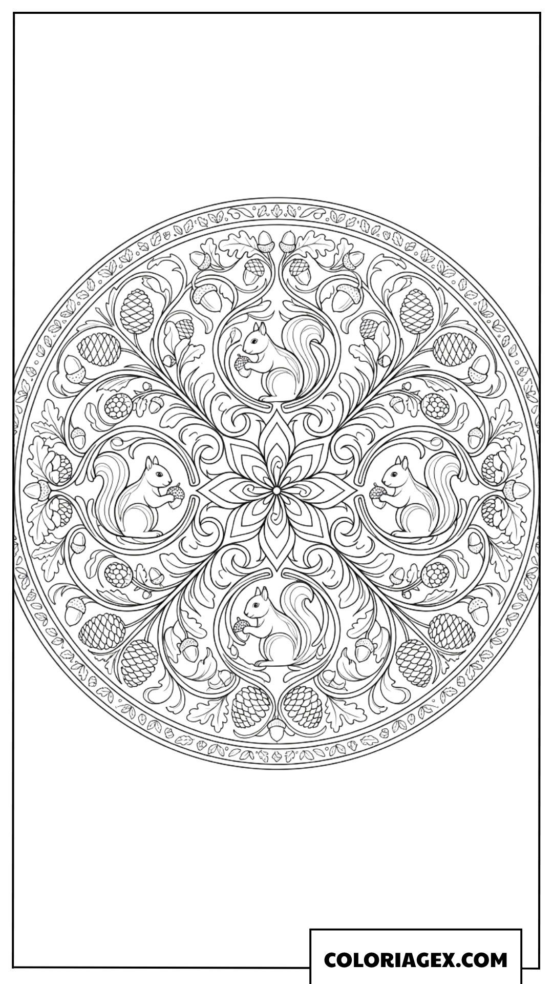 Coloriage mandala avec ecureuils et motifs automnaux