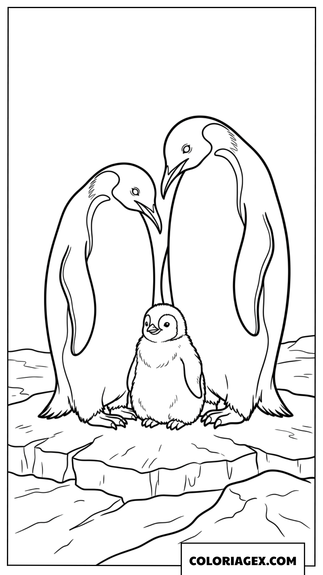 Coloriage parents pingouins protegeant leur petit