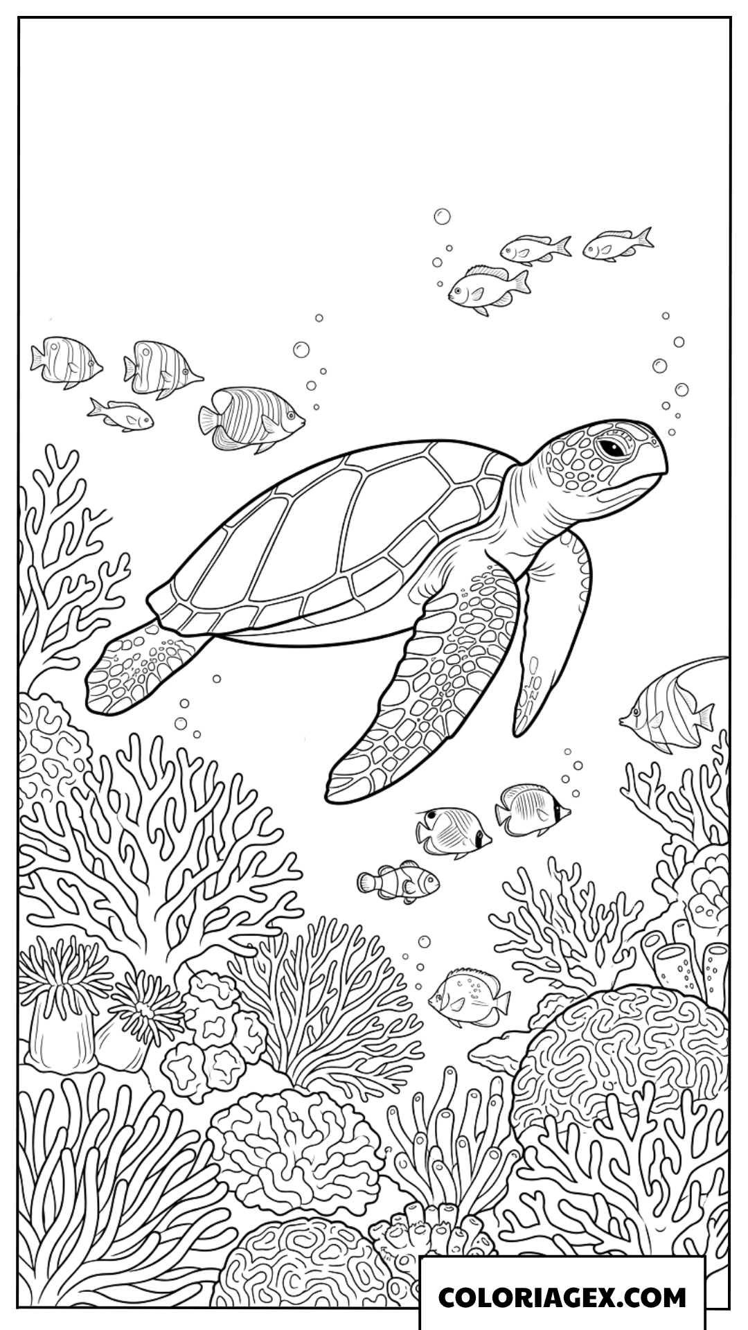 Coloriage tortue de mer nageant au dessus des recifs de corail