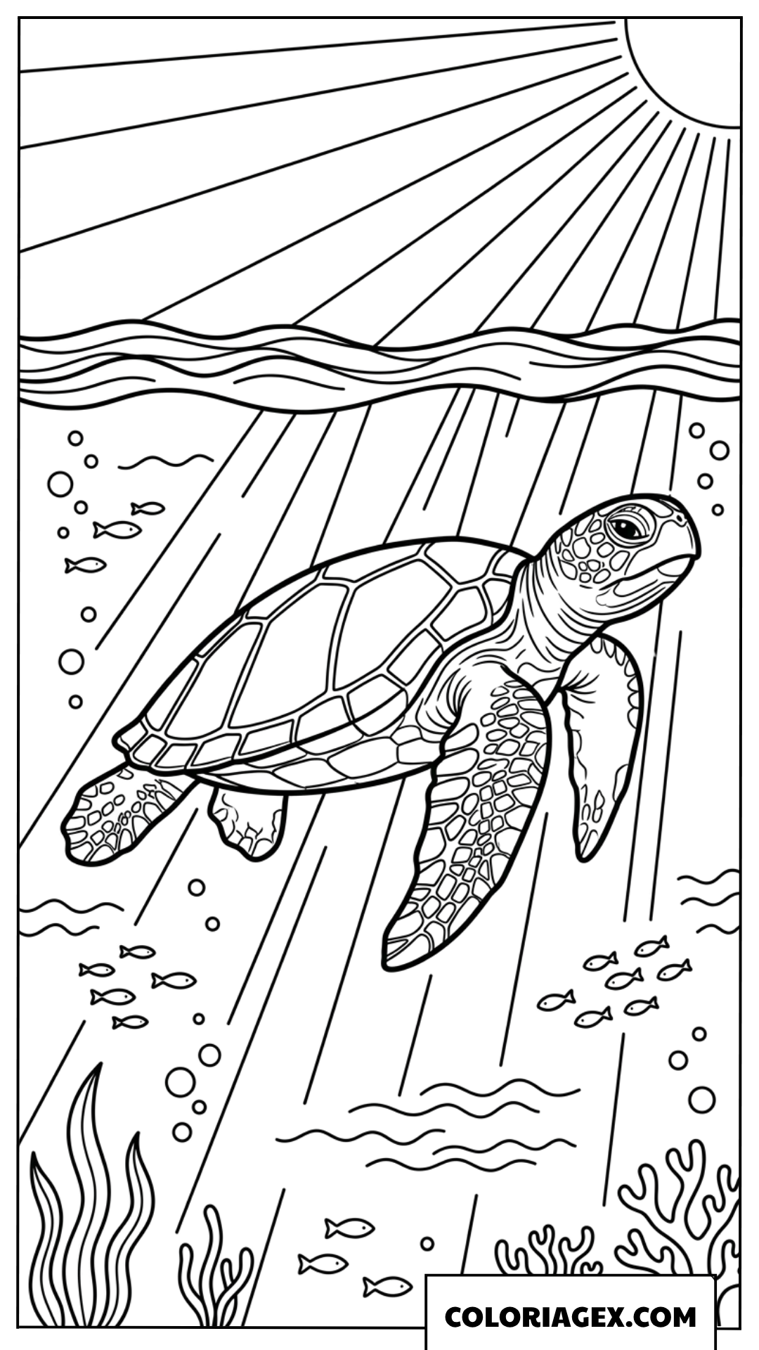Coloriage tortue de mer sous les rayons de soleil transpercants
