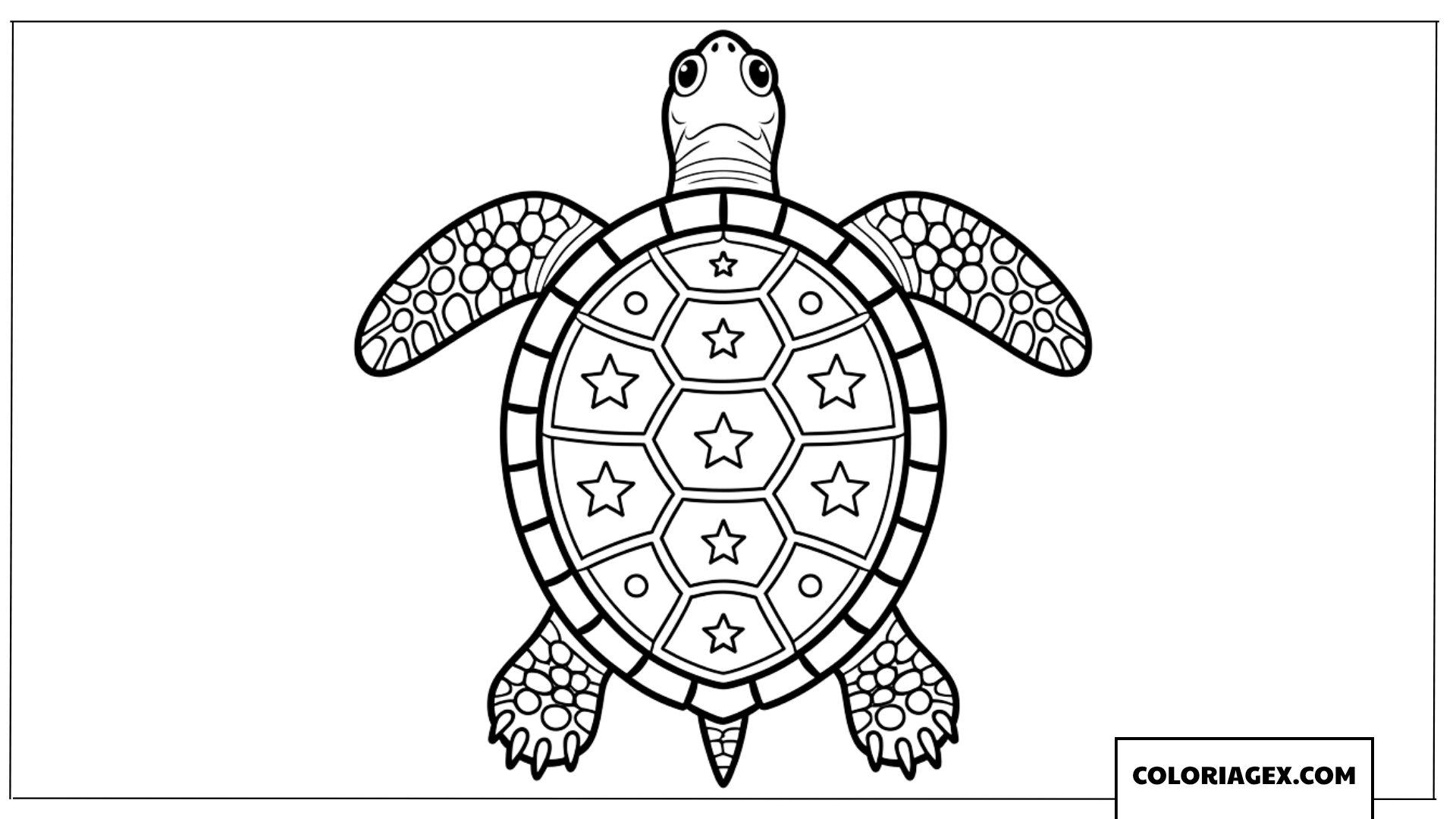 Coloriage tortue vue d en haut avec des etoiles mandala symetriques