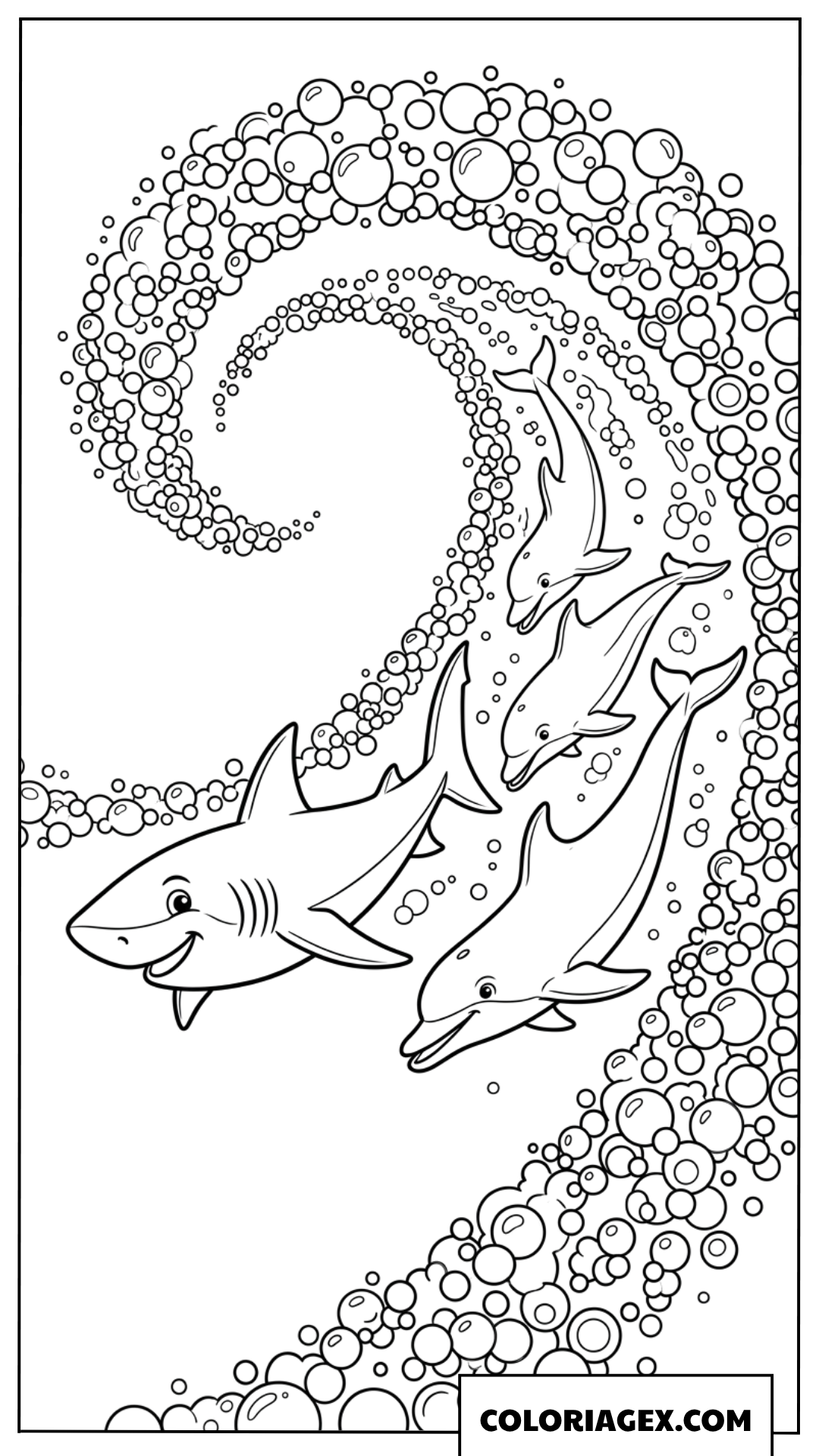 Coloriage trois dauphins et un requin font la course