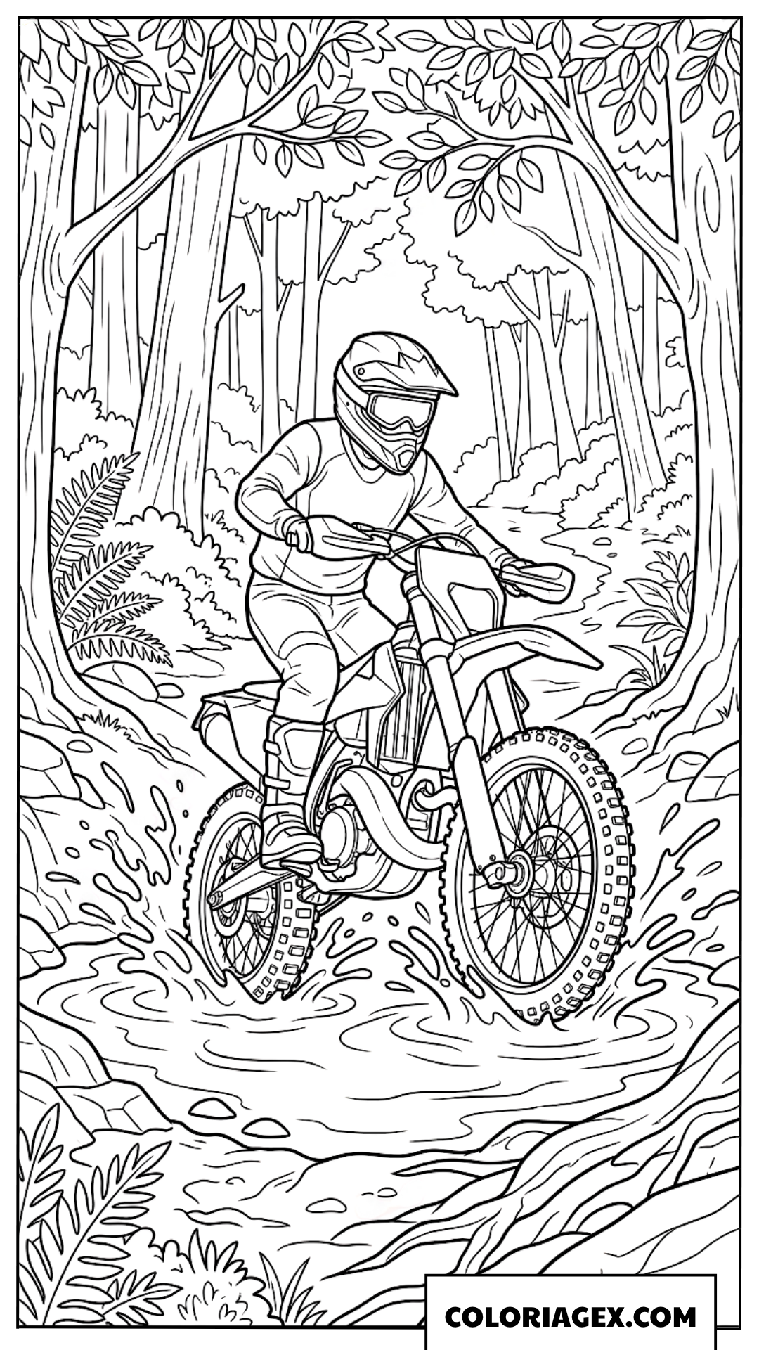 Dessin Moto Aventure Traversant Ruisseau