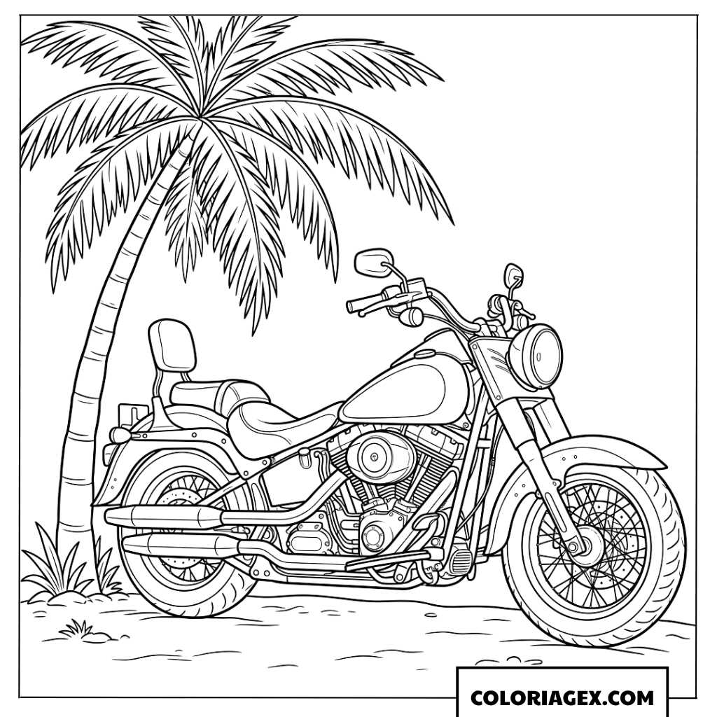 Dessin Moto Cruiser Passee Sous Le Palmier
