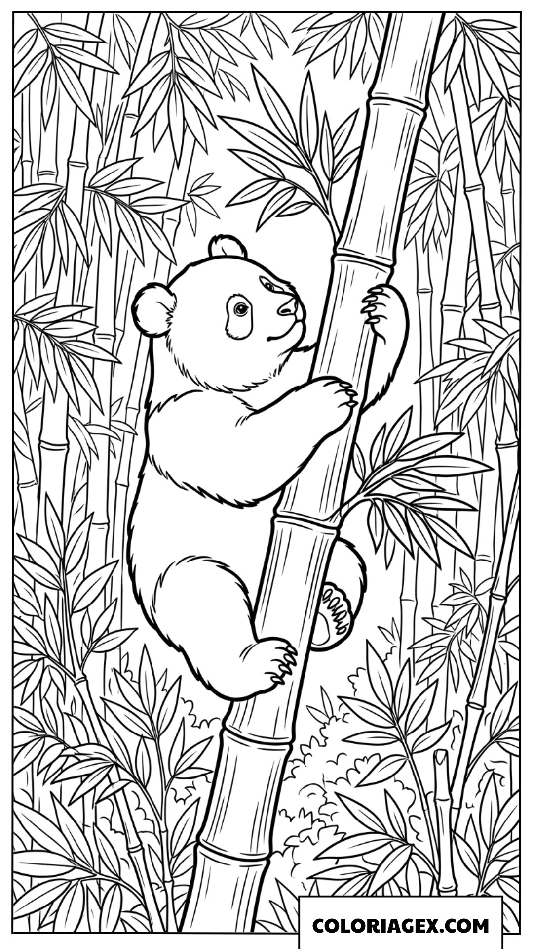 Dessin Panda mignon grimpant sur un grand tronc de bambou