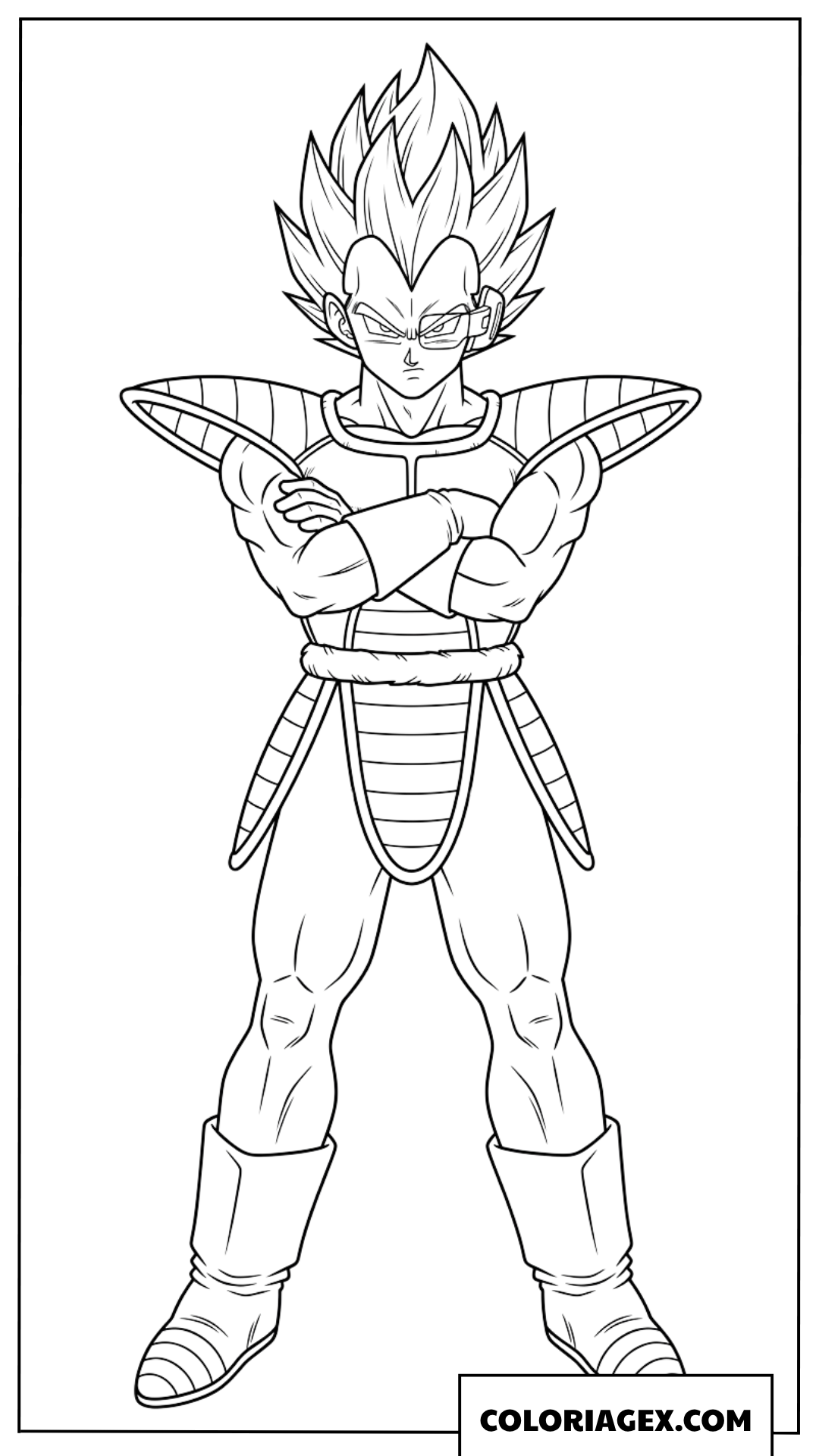 Dessin Vegeta Bras Croises Armure Saiyan