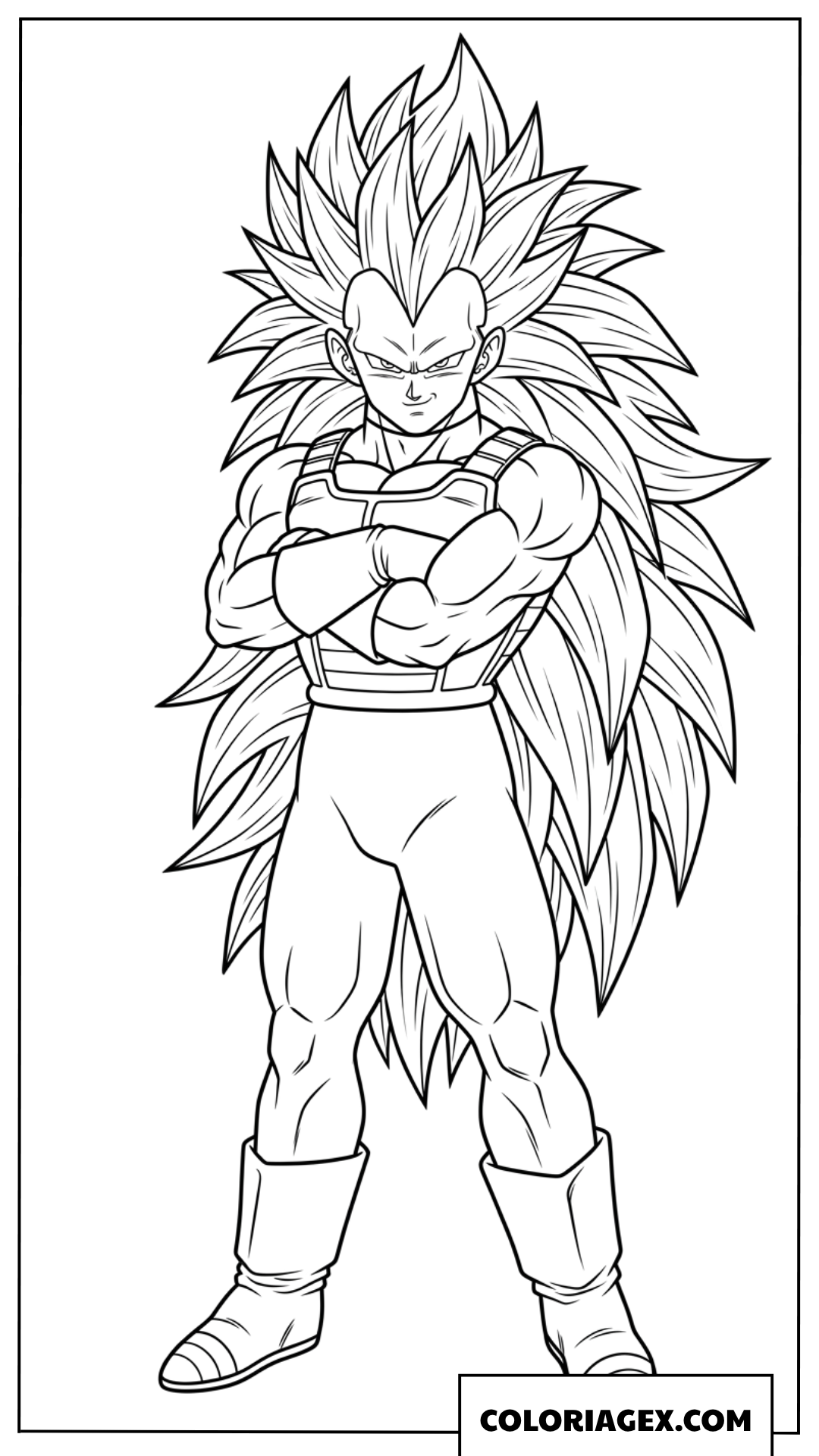 Dessin Vegeta Super Saiyan Trois Bras Croises