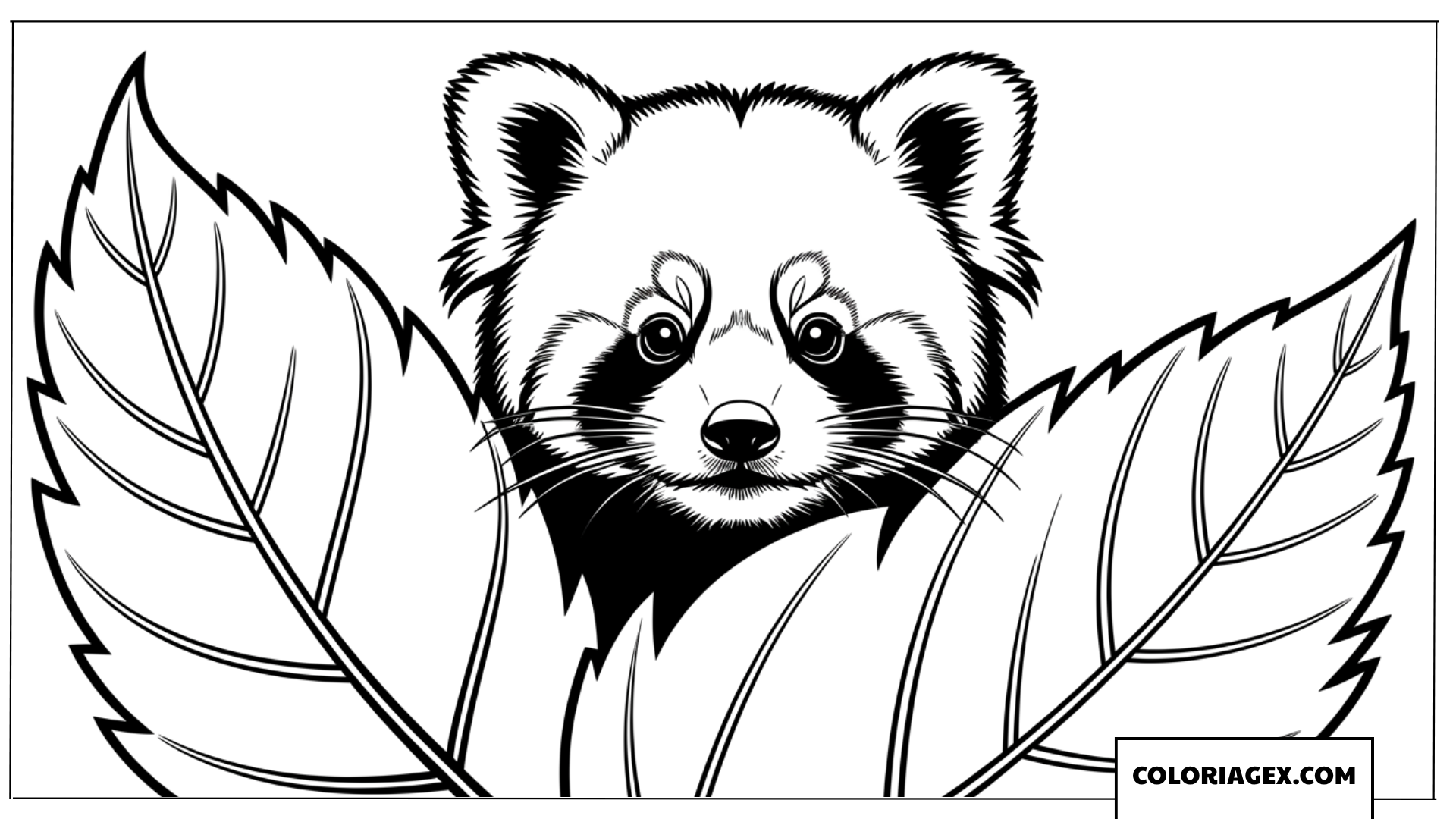Dessin Visage de panda roux mignon cachant derriere de grandes feuilles