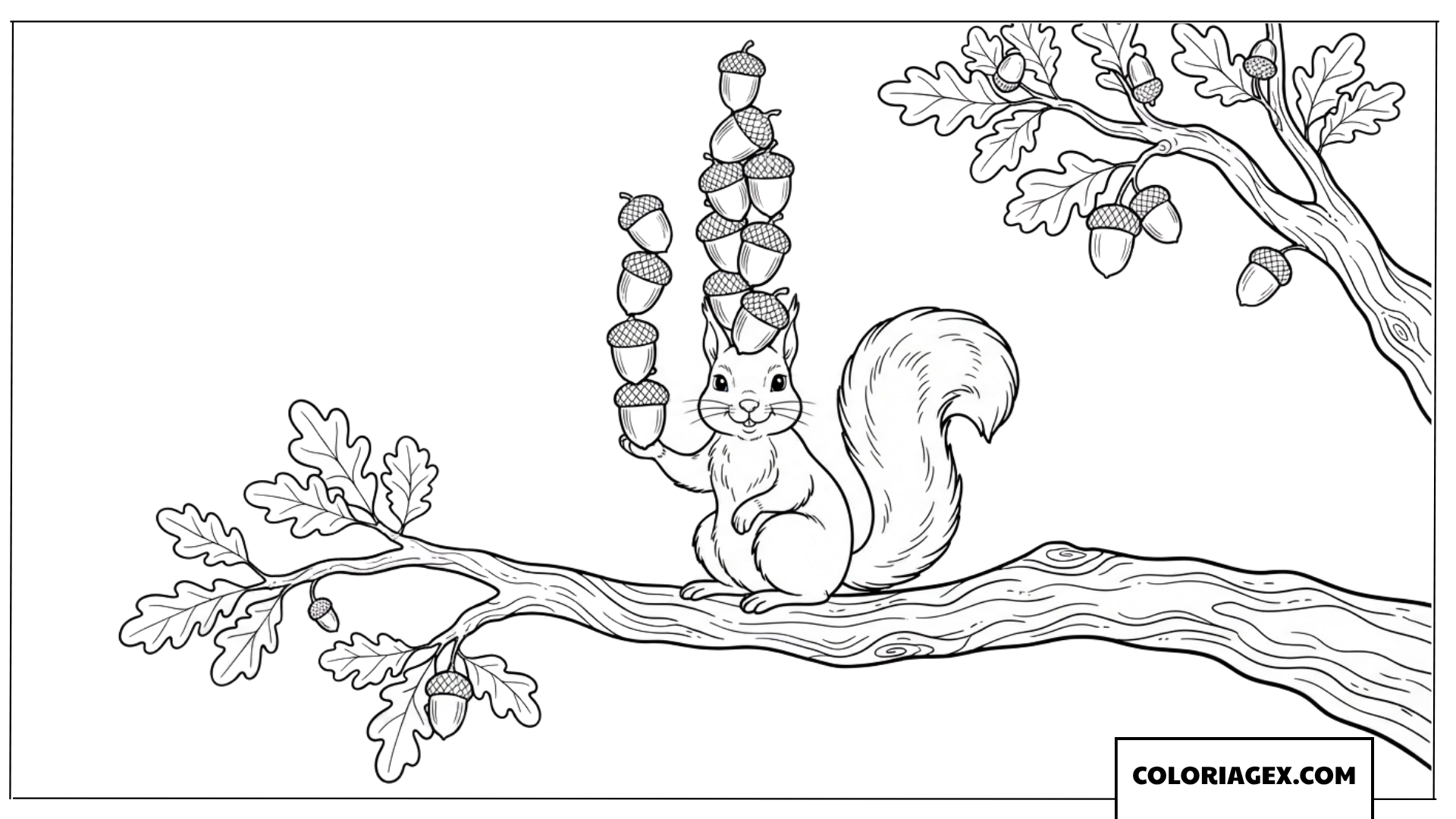 Dessin amusant d un ecureuil en equilibre sur une branche