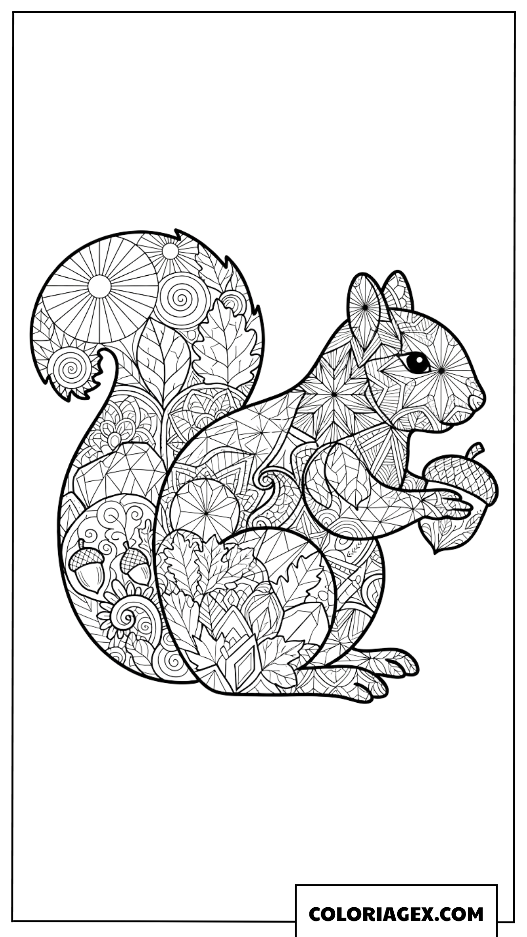 Dessin artistique d un ecureuil en style zentangle