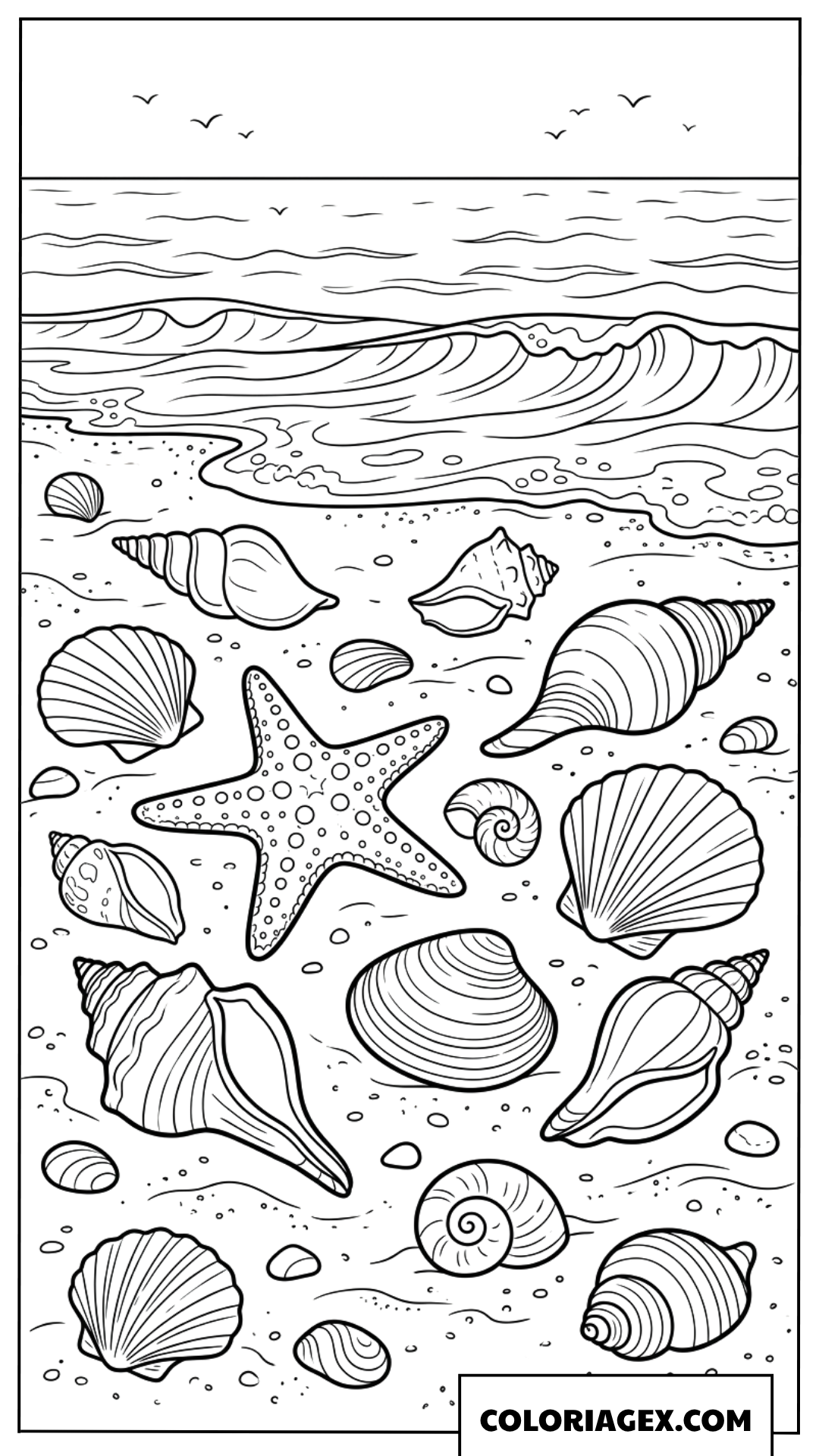 Dessin d étoiles de mer et de coquillages sur le sable