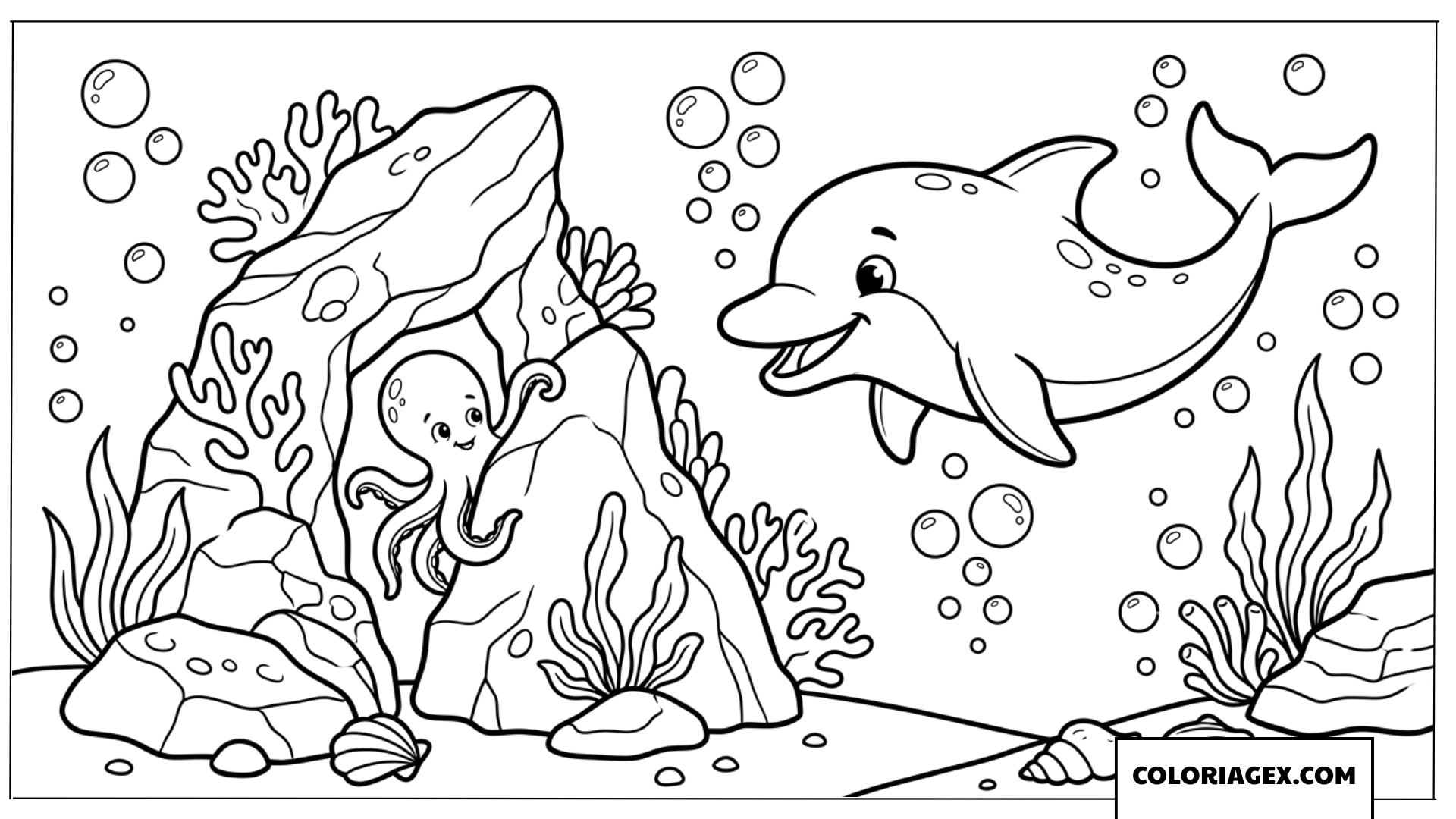 Dessin d un dauphin jouant avec une pieuvre