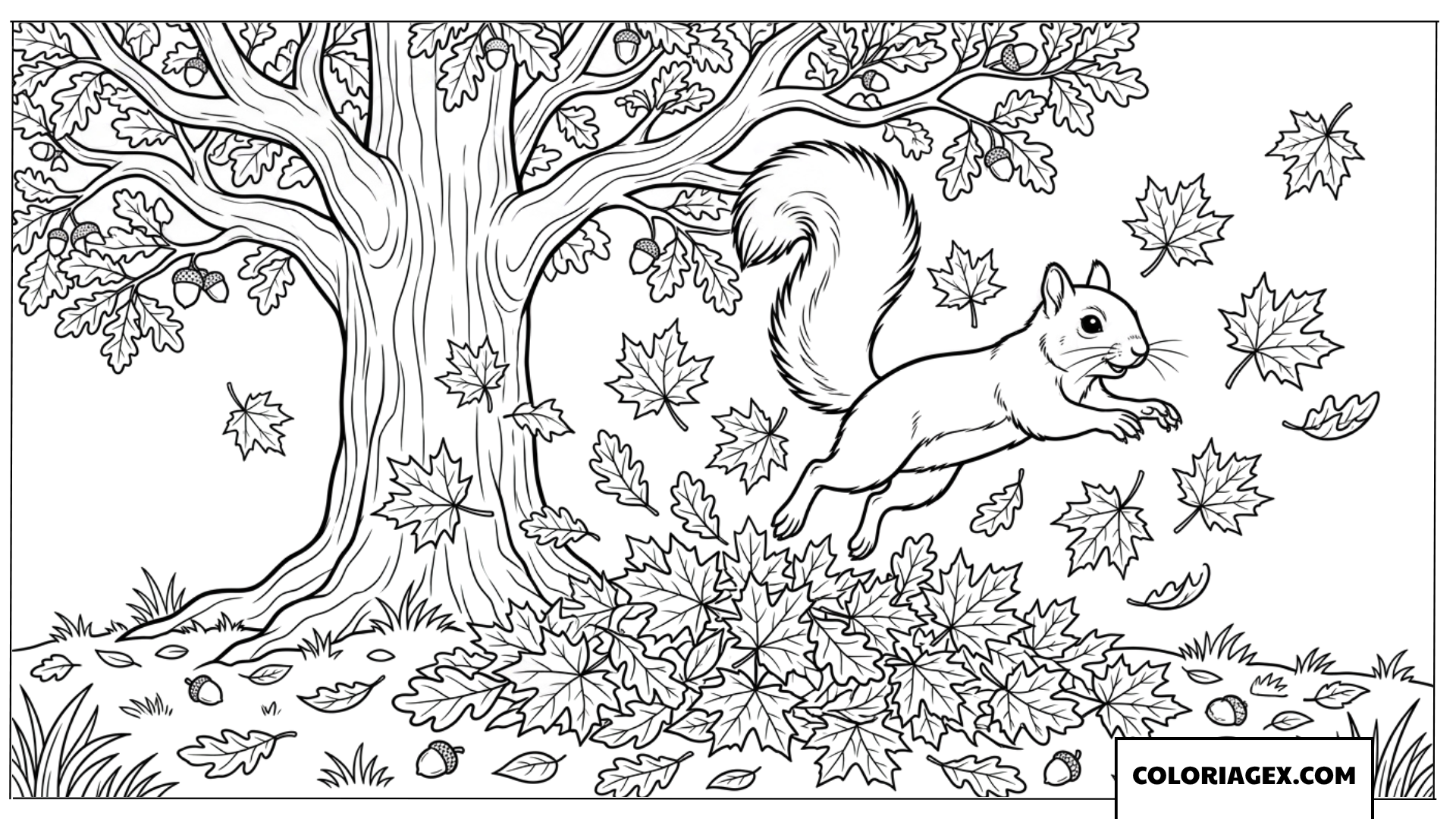 Dessin d un ecureuil bondissant dans les feuilles mortes