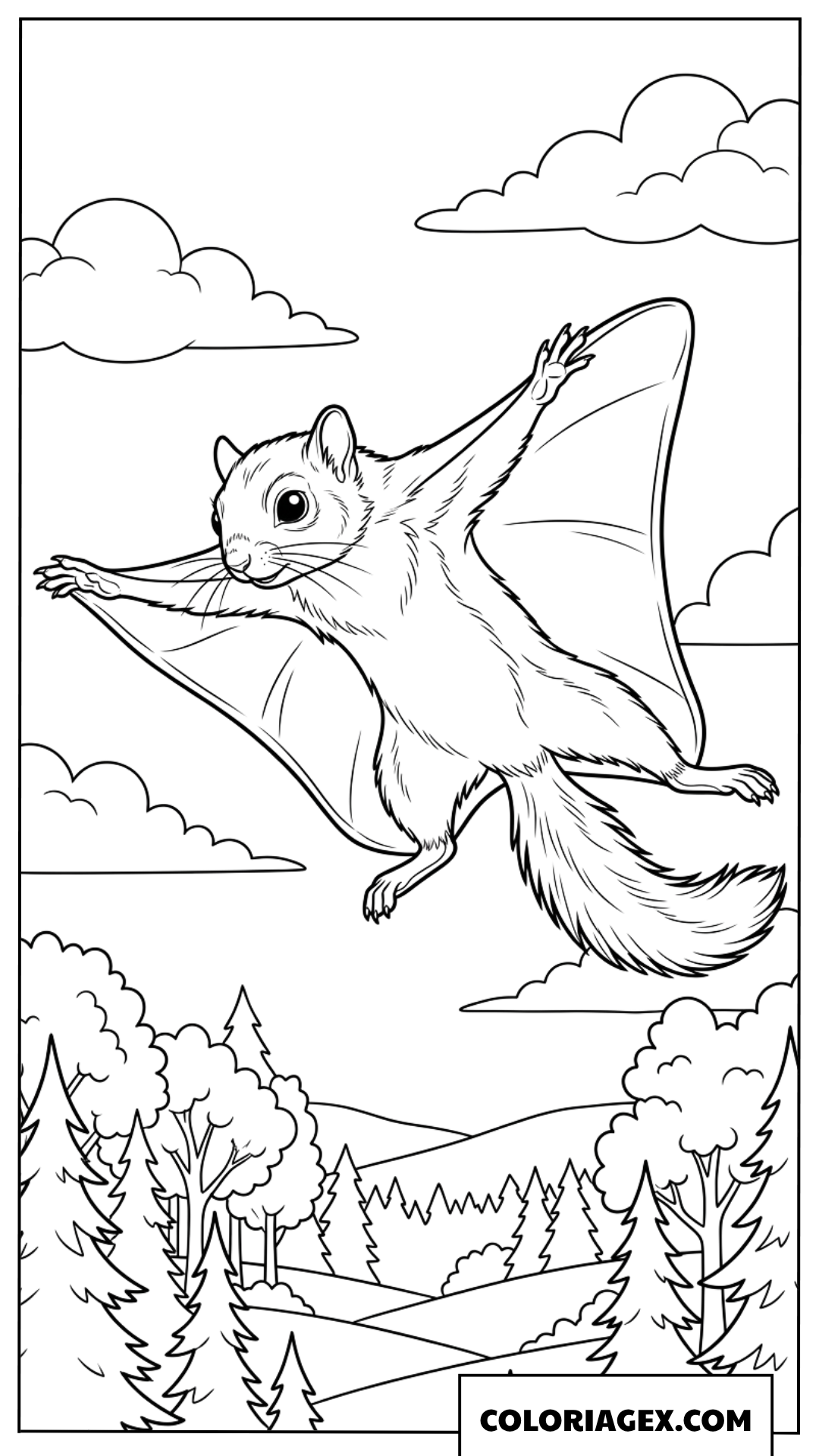 Dessin d un ecureuil volant planant dans le ciel