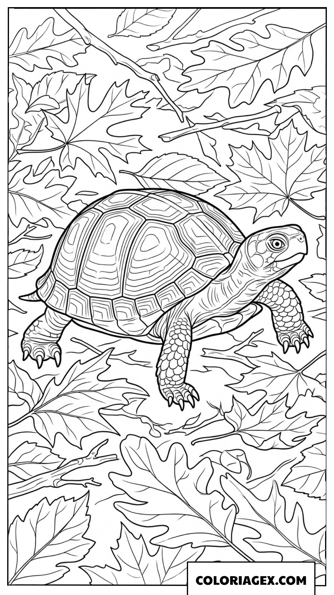Dessin d une tortue de terre marchant sur un tapis de feuilles d automne