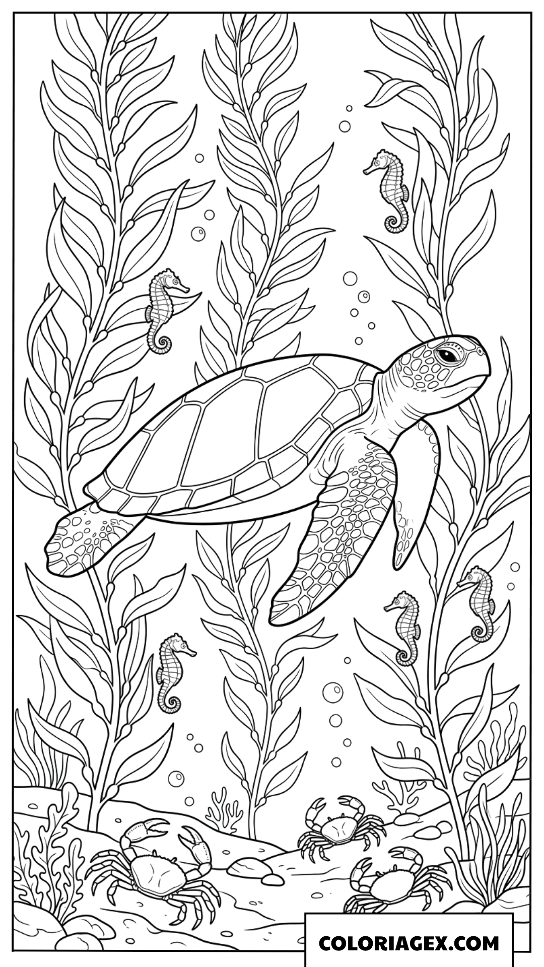 Dessin d une tortue marine avec des hippocampes et des crabes
