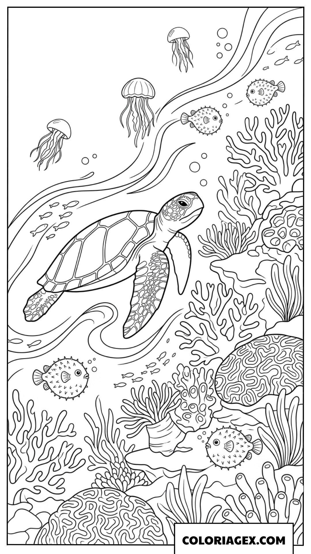 Dessin d une tortue marine avec des poissons globes et des meduses