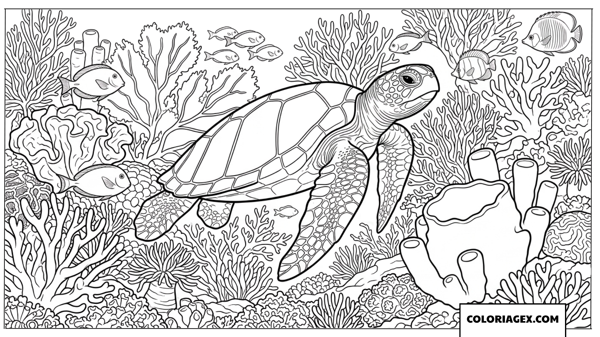 Dessin d une tortue marine glissant sur un jardin de corail