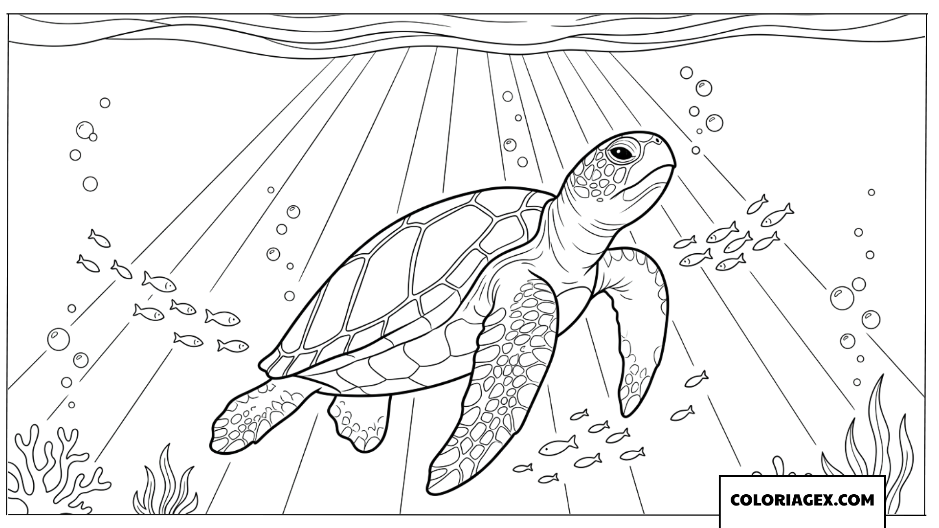 Dessin d une tortue marine nageant vers la surface pour le coloriage