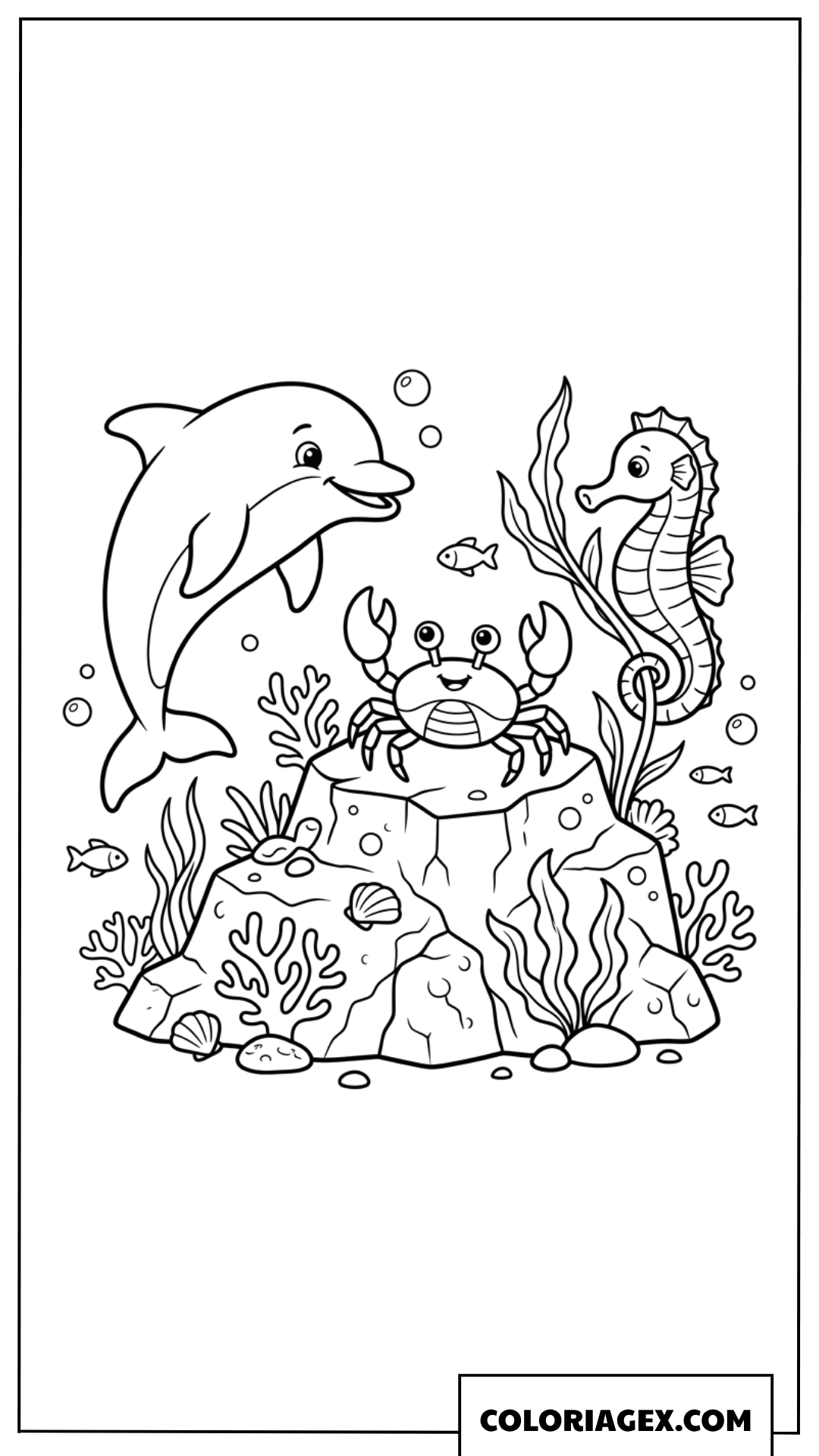 Dessin dauphin rencontrant un crabe et un hippocampe