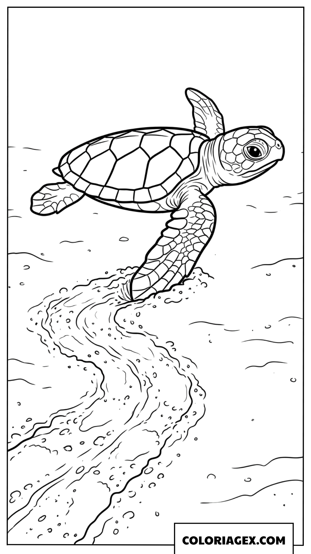 Dessin de bebe tortue laissant de longues empreintes sur le sable