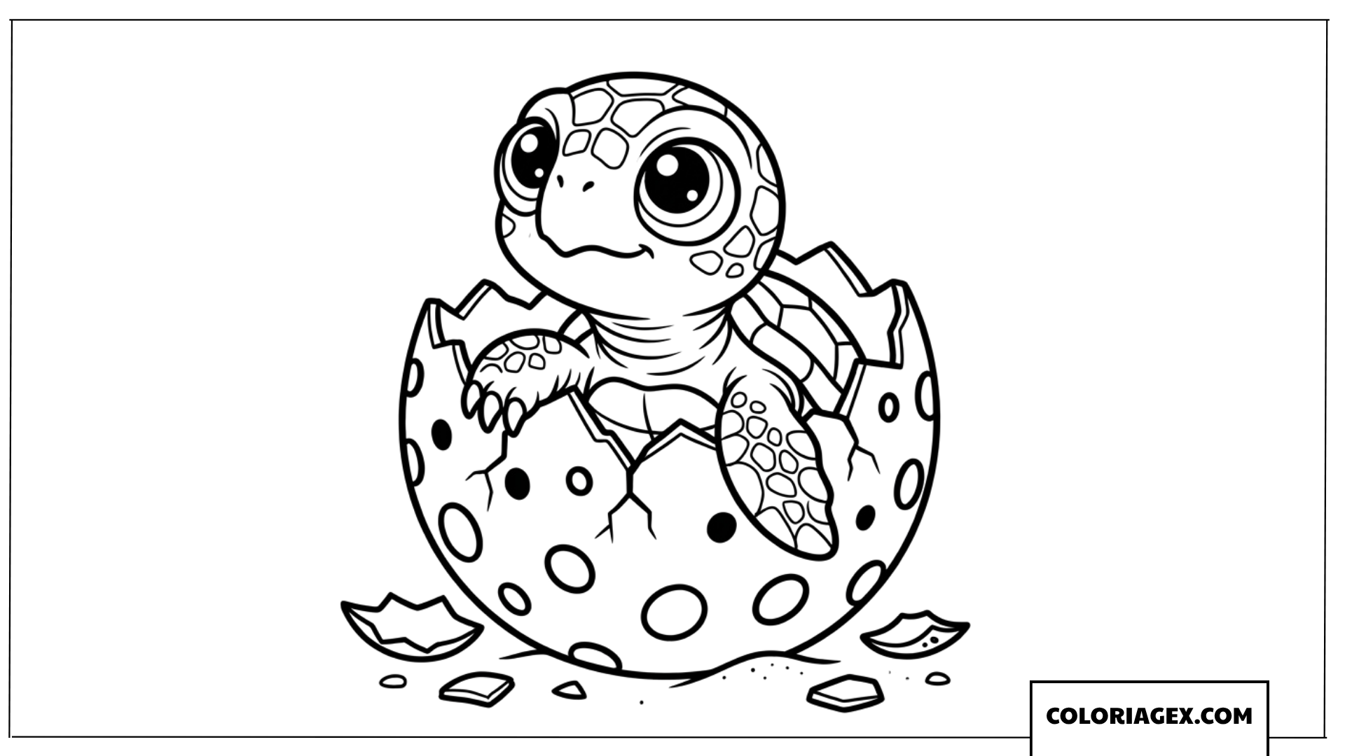 Dessin de bebe tortue qui sort de son oeuf
