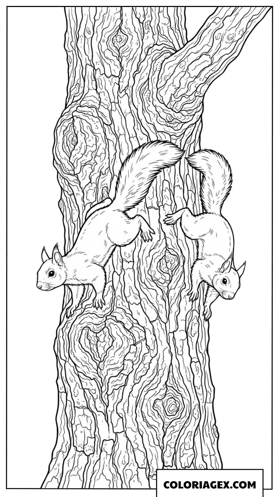 Dessin de deux ecureuils sur un tronc d arbre ancien