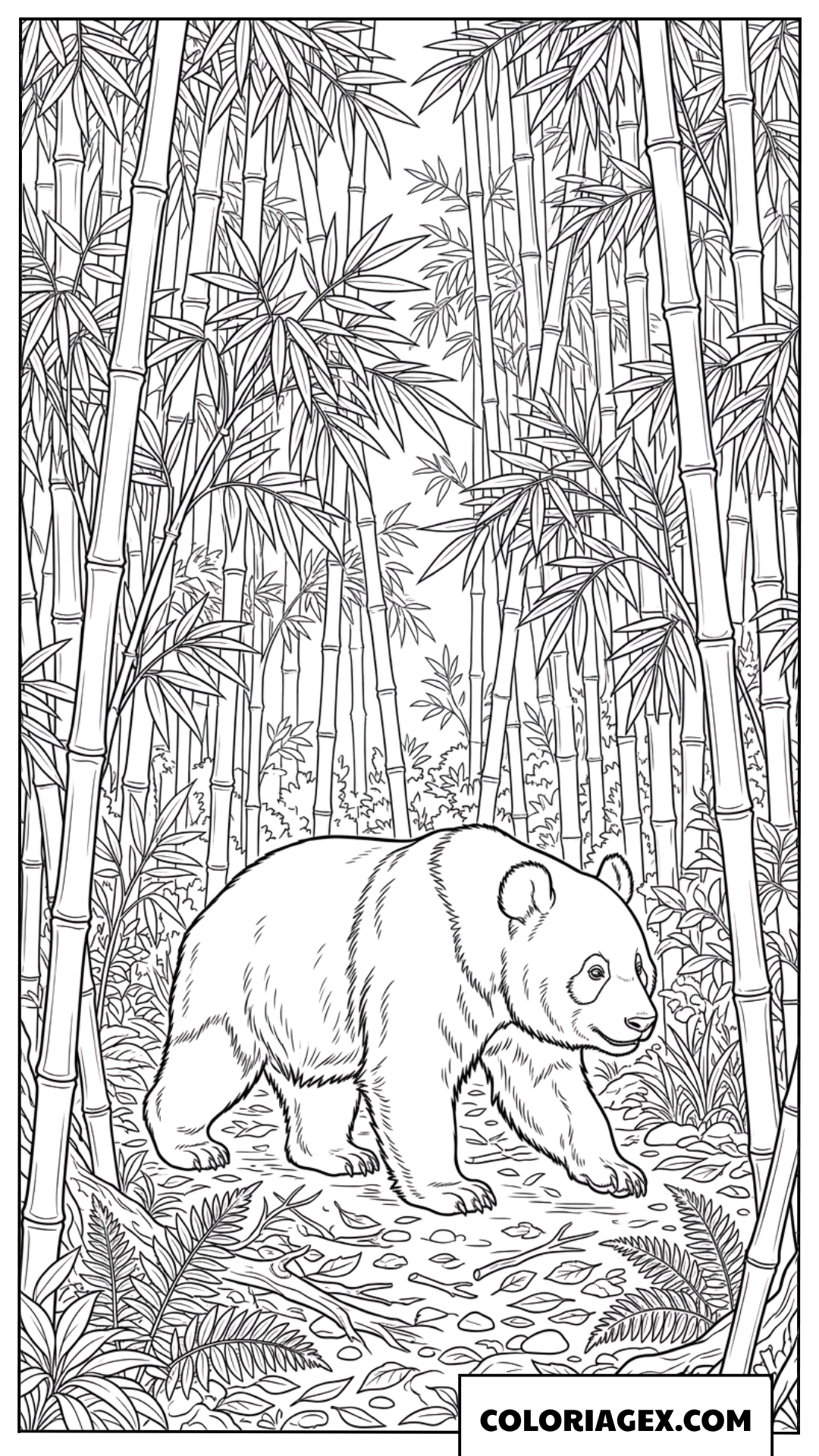 Dessin de grand panda marchant dans une foret de bambous