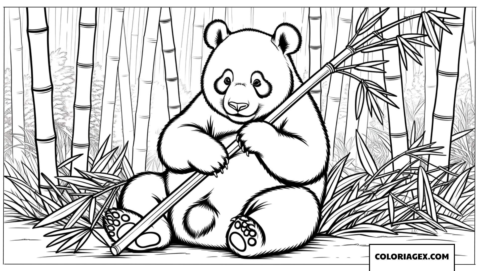 Dessin de panda geant assis confortablement avec sa branche de bambou