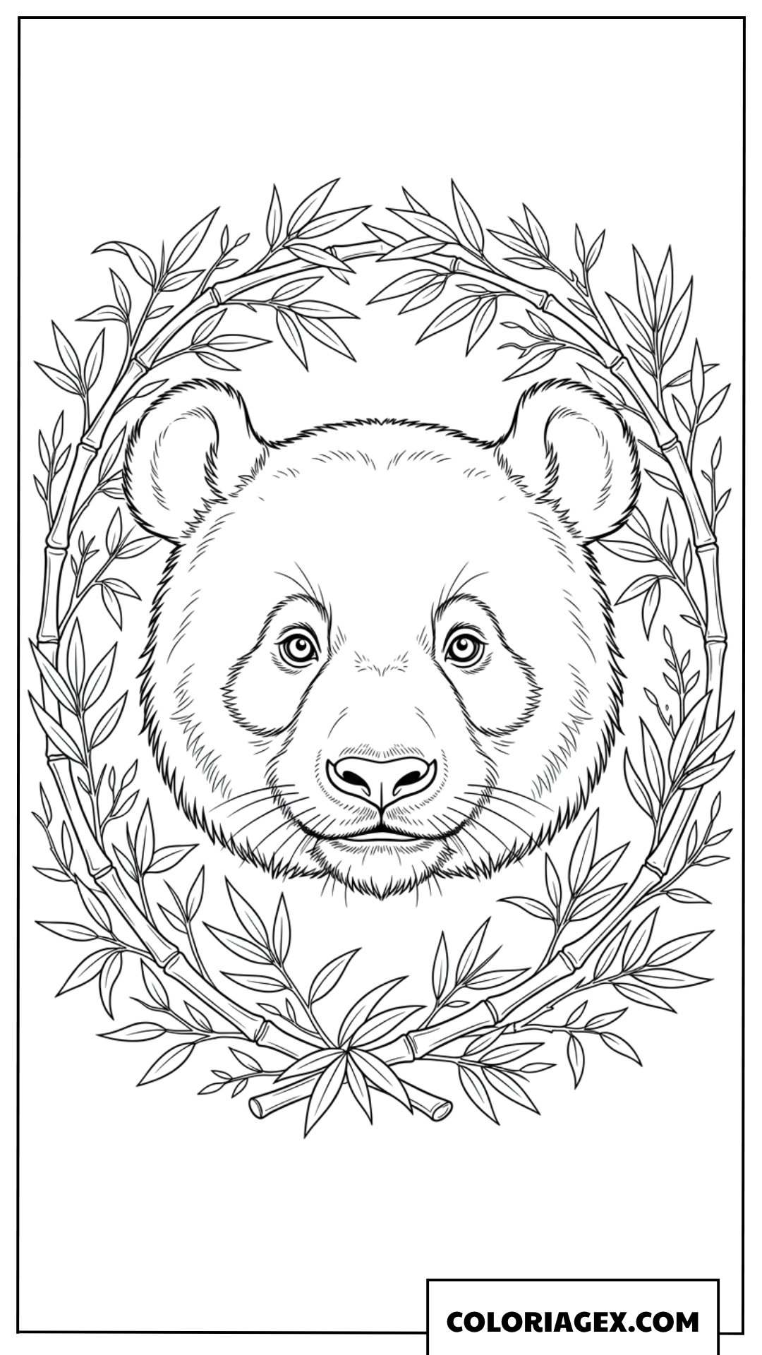 Dessin de portrait de panda dans une couronne de bambou