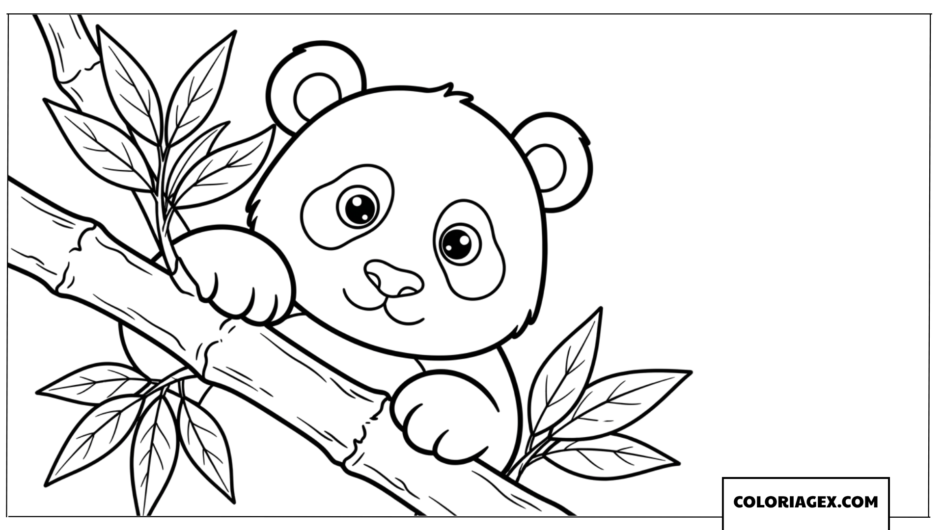 Dessin dun bebe panda curieux derriere une branche de bambou