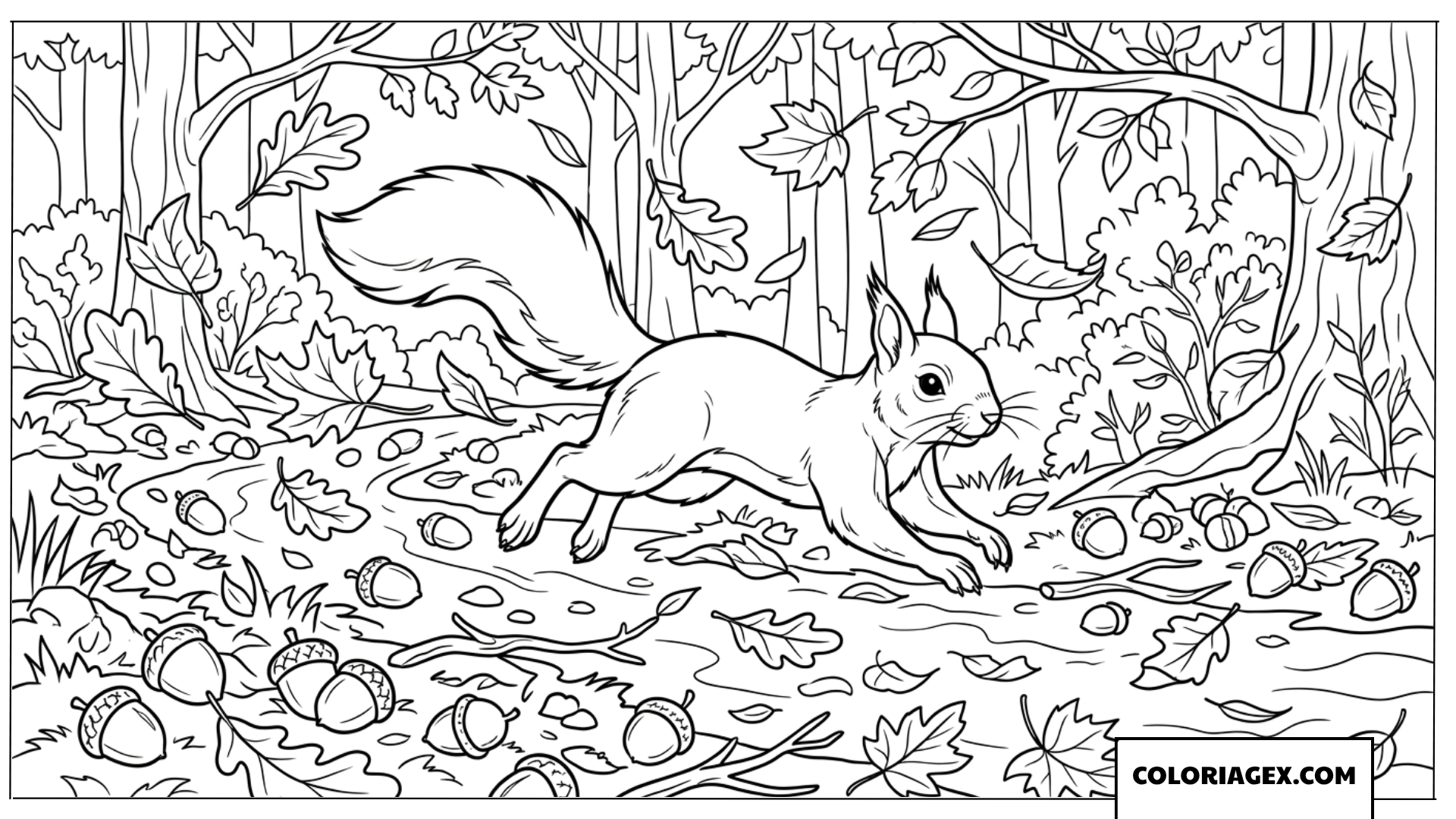 Dessin ecureuil courant dans une foret en automne