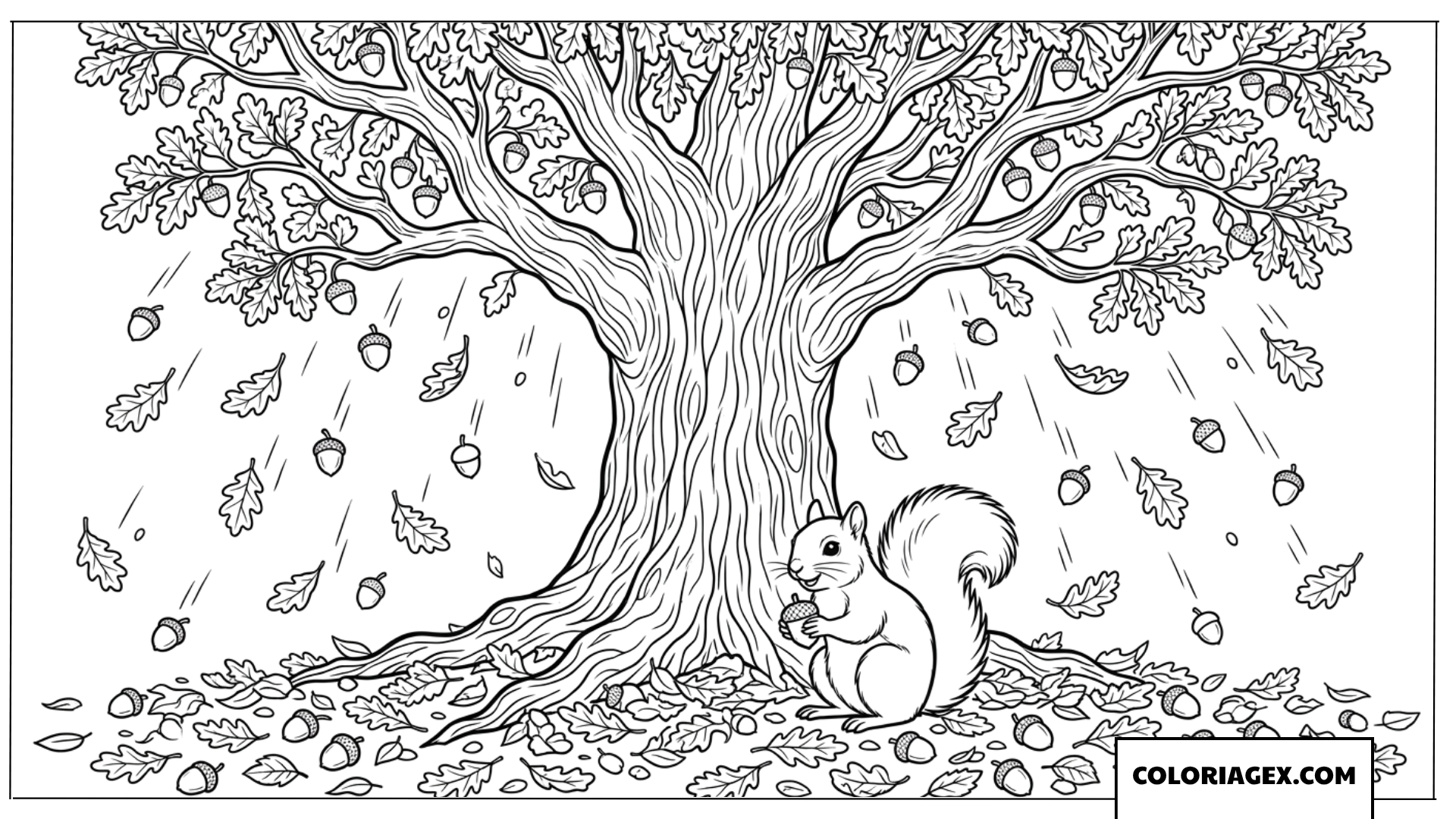 Dessin ecureuil sous un grand chene en automne