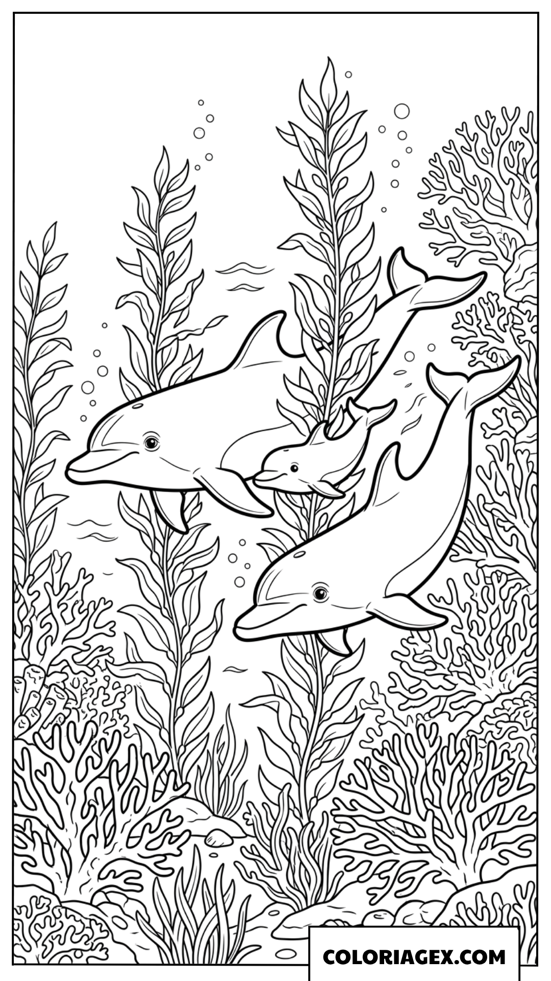 Dessin famille dauphin nageant a travers les algues