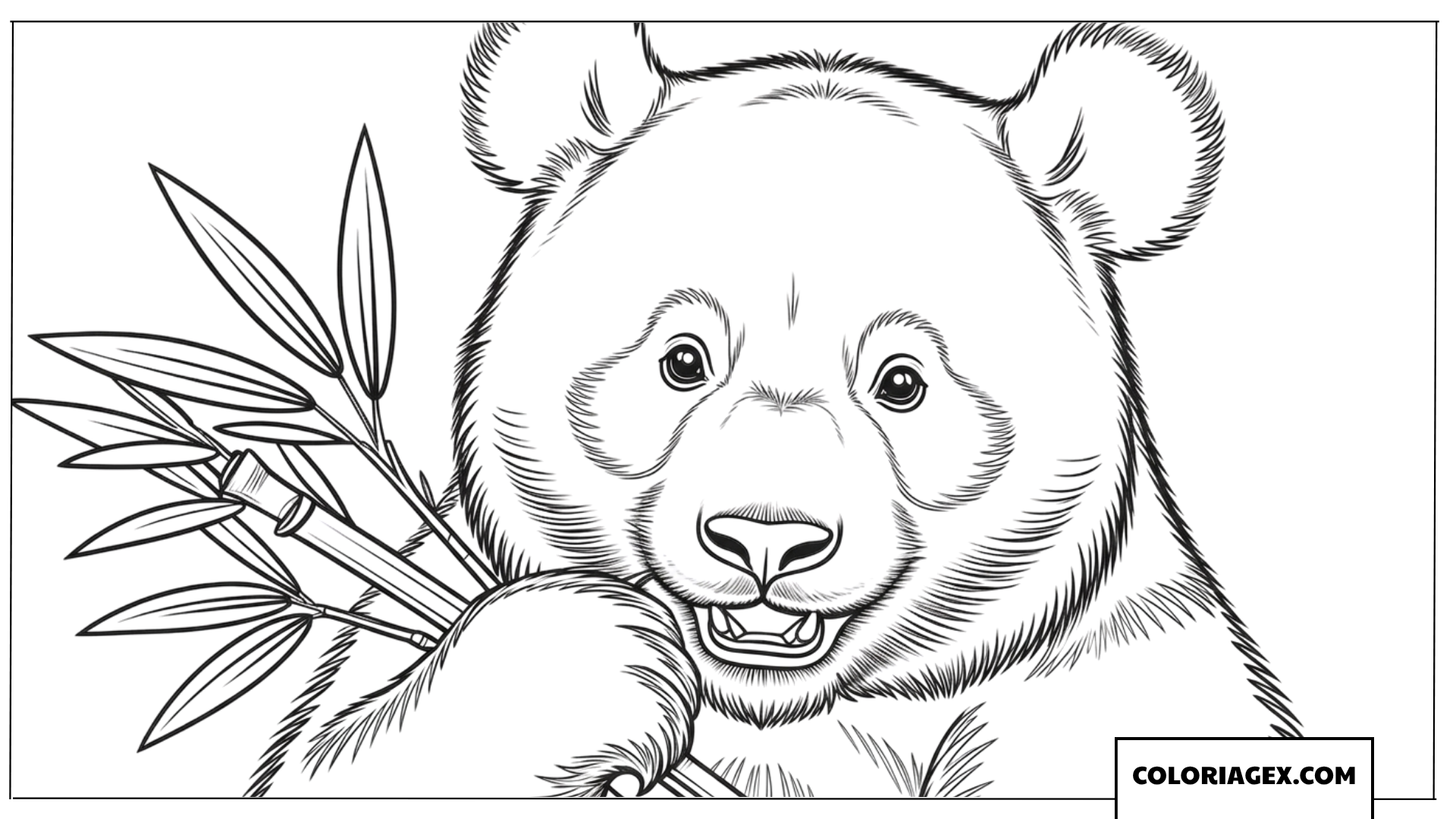 Dessin portrait de panda mignon tenant des feuilles de bambou frais