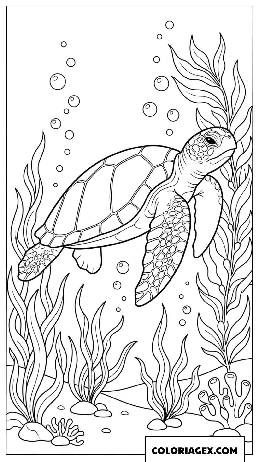 Dessin tortue de mer glissant au milieu des algues marines