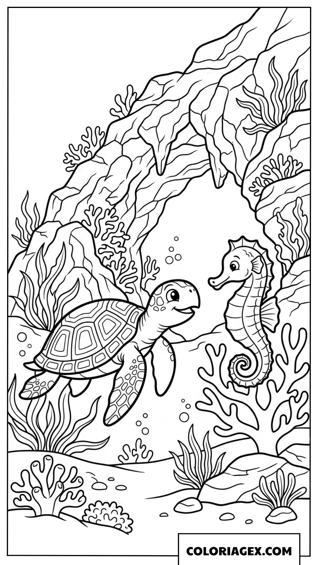 Dessin tortue de mer rencontrant un joli hippocampe sous l ocean