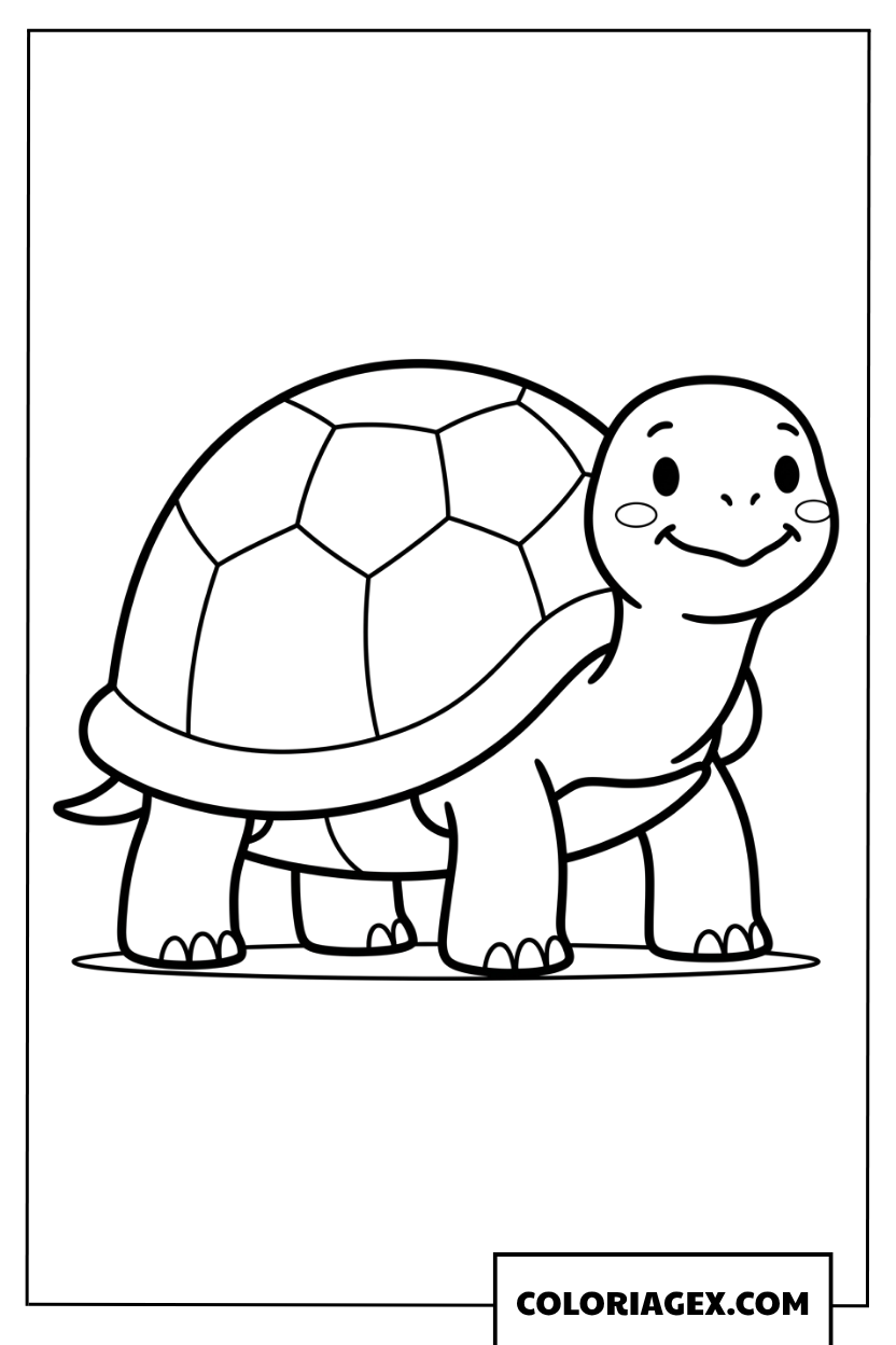 Dessin tortue souriante avec des joues rondes