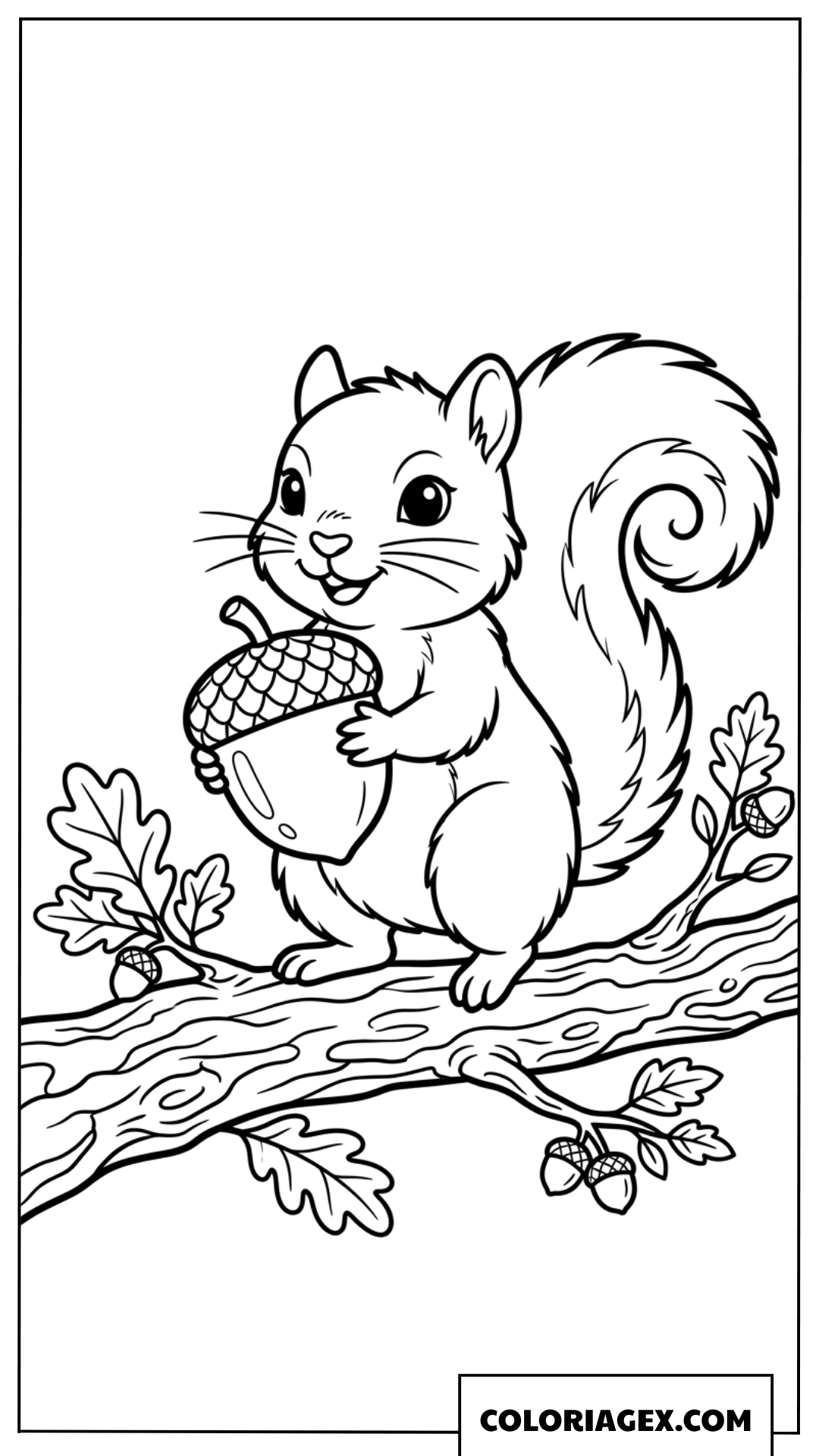 Coloriage ecureuil mignon tenant une grosse noisette