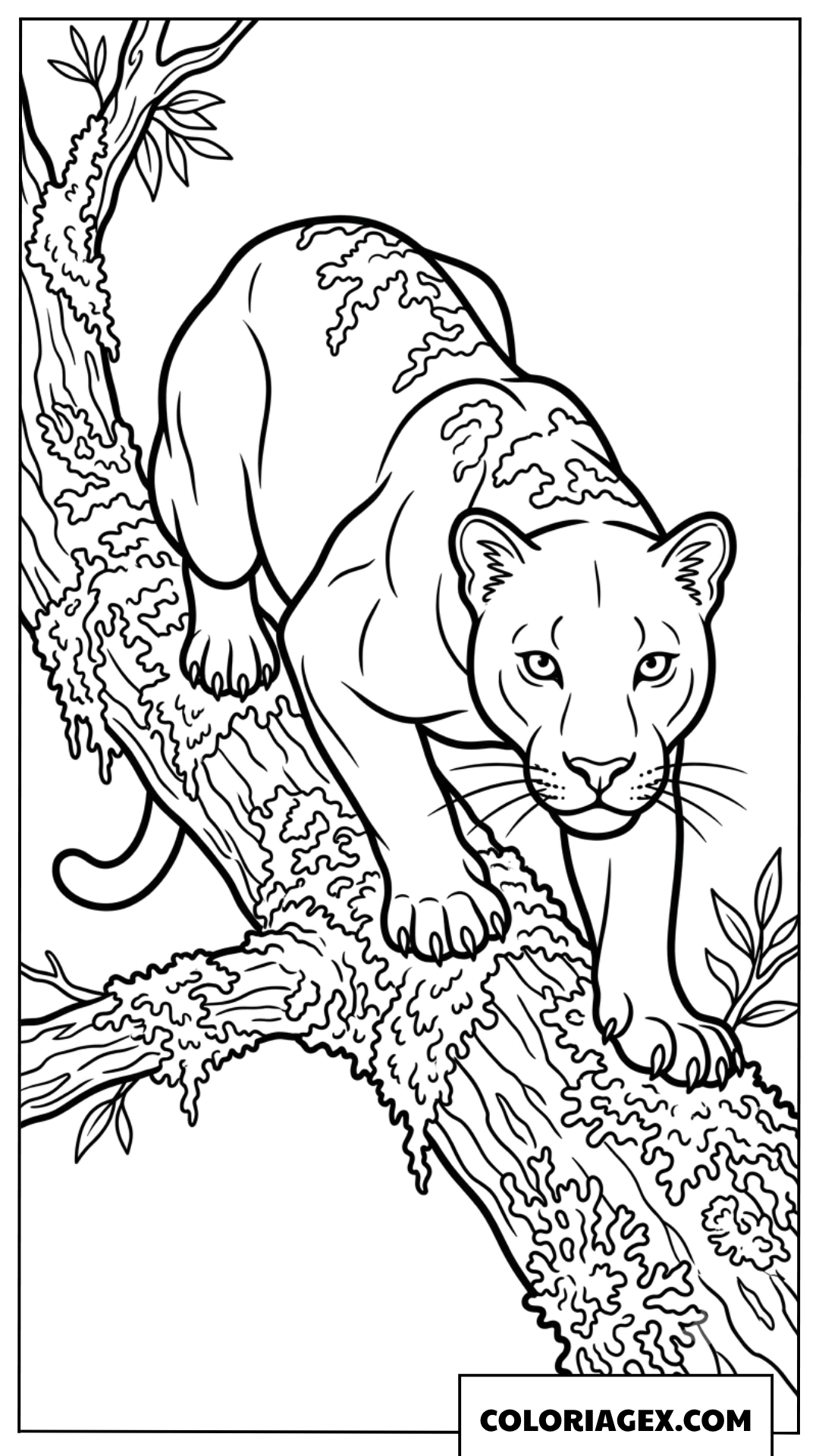 Dessin de panthere noire accroupie sur une branche moussu