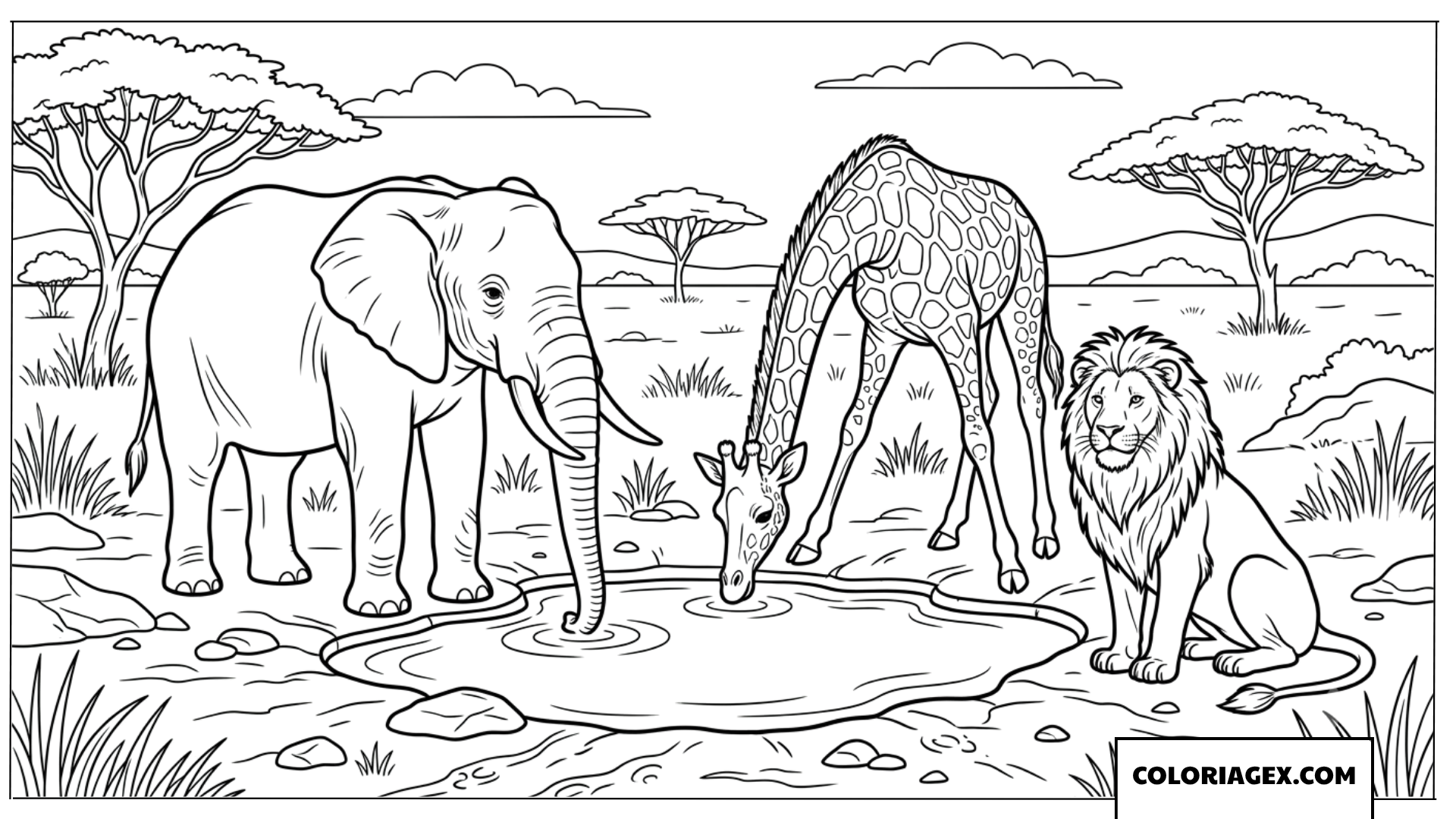 Dessin de plusieurs animaux sauvages reunis a l'etang