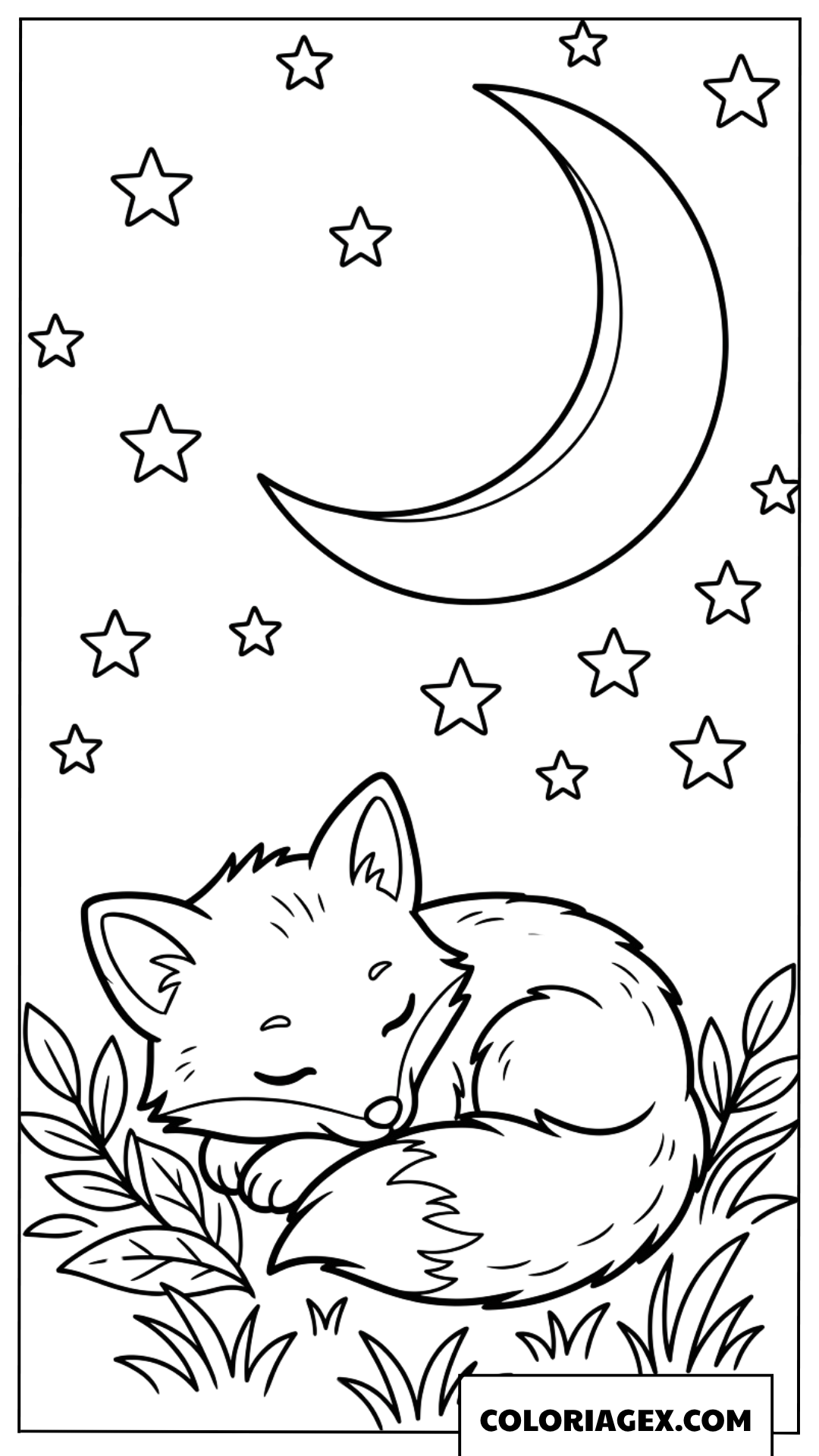 Dessin renardeau endormi sous la lune et les etoiles