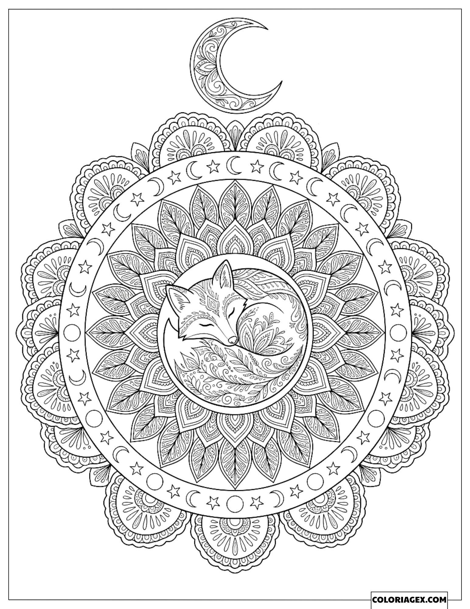 Coloriage Renard Enroulé dans un Mandala de Lune et d'Étoiles