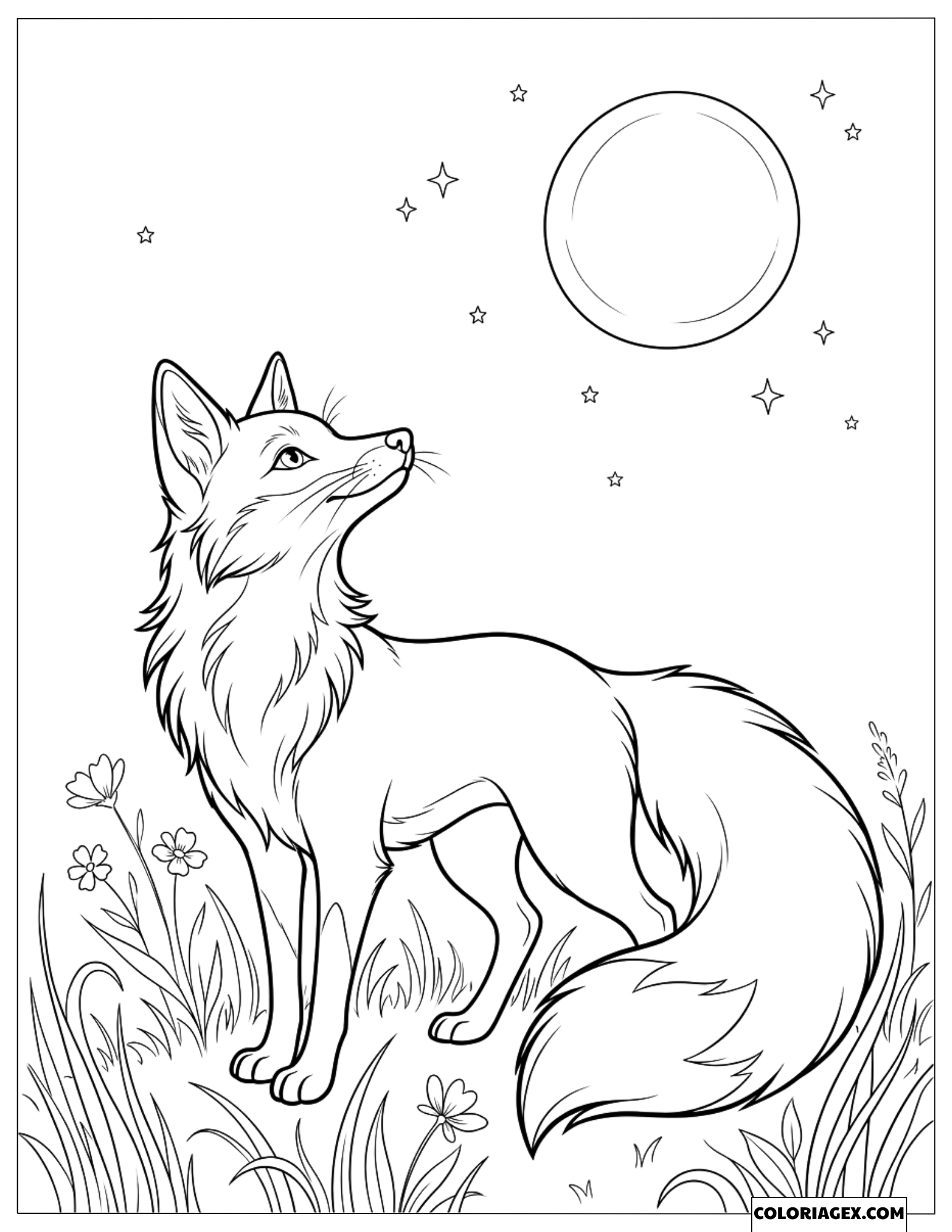 Coloriage Renard Roux Regardant la Lune Brillante et les Étoiles