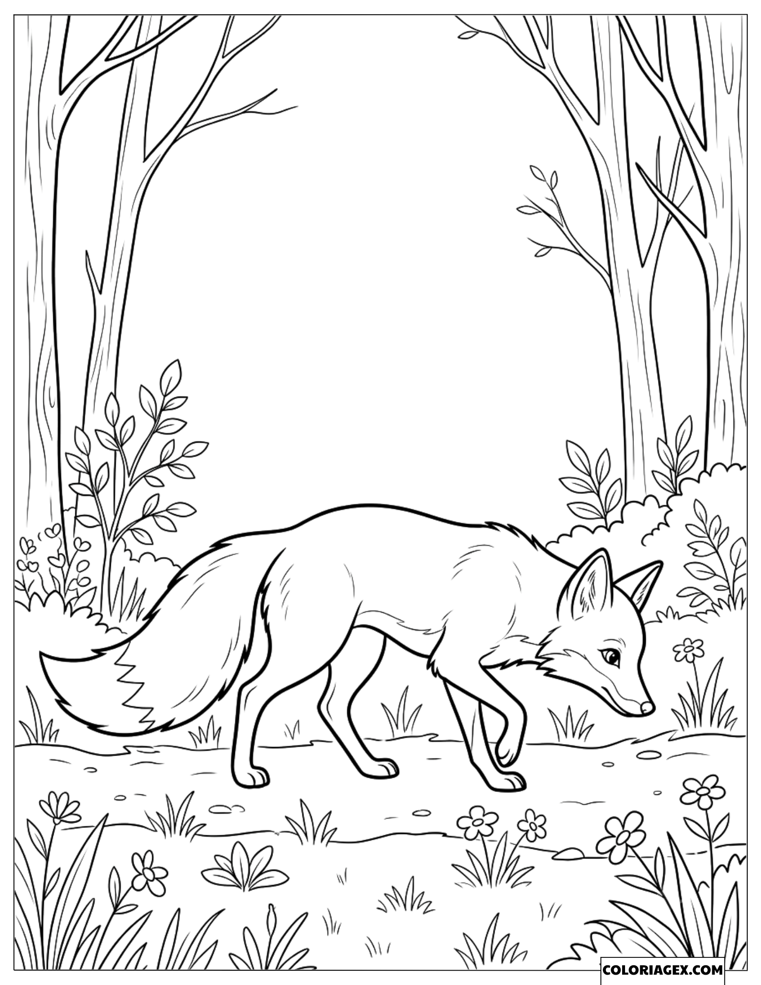 Coloriage Renard Roux en Train de Marcher sur un Sentier en Forêt